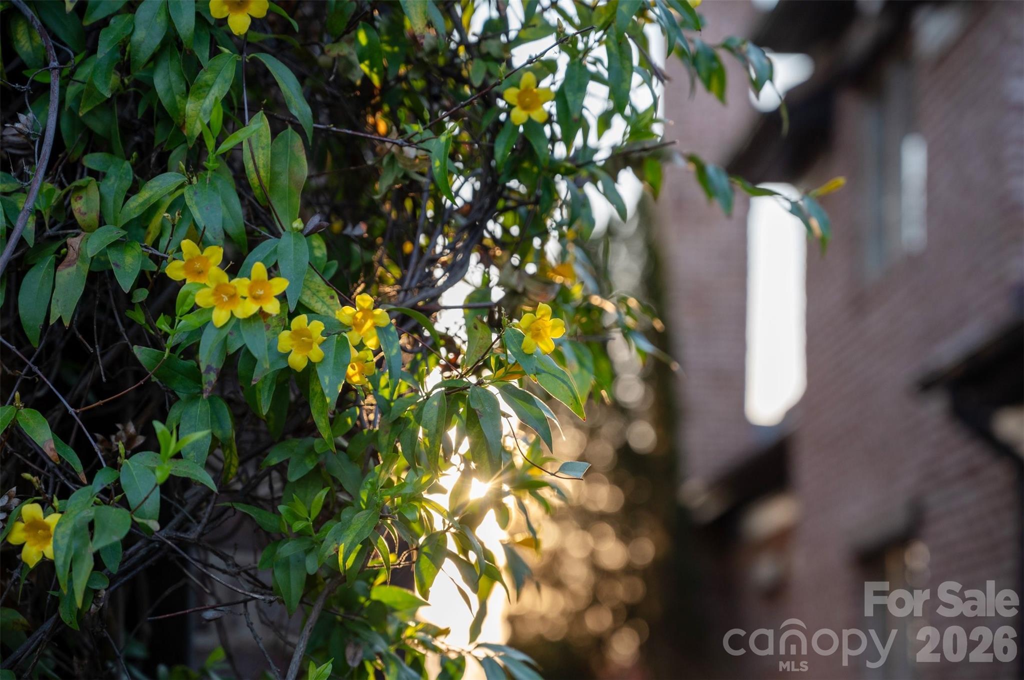 306 Royal Crescent Lane