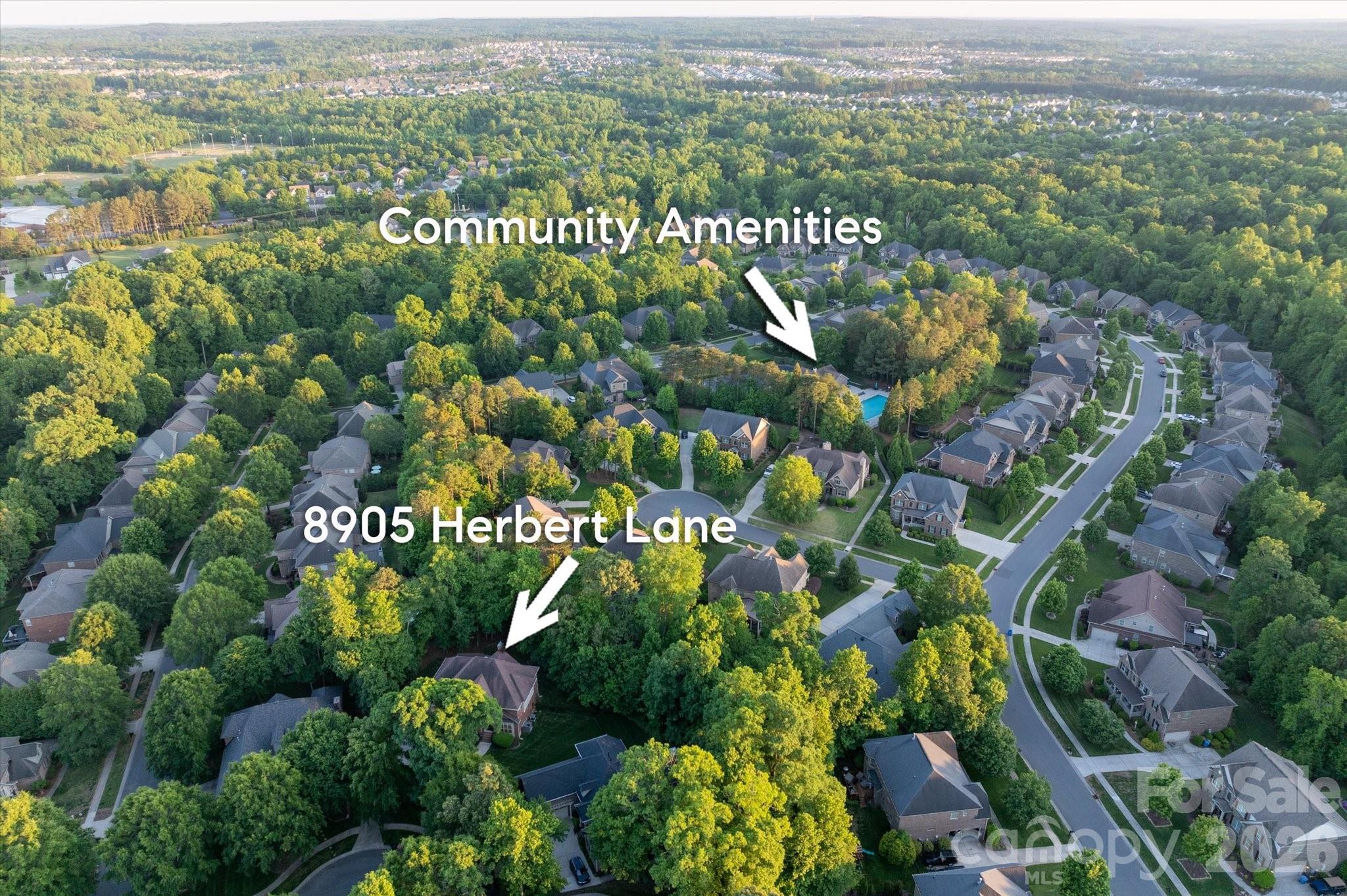 8905 Herbert Lane