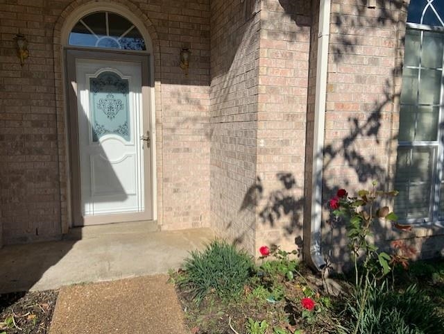 7106 ANISE TREE DR