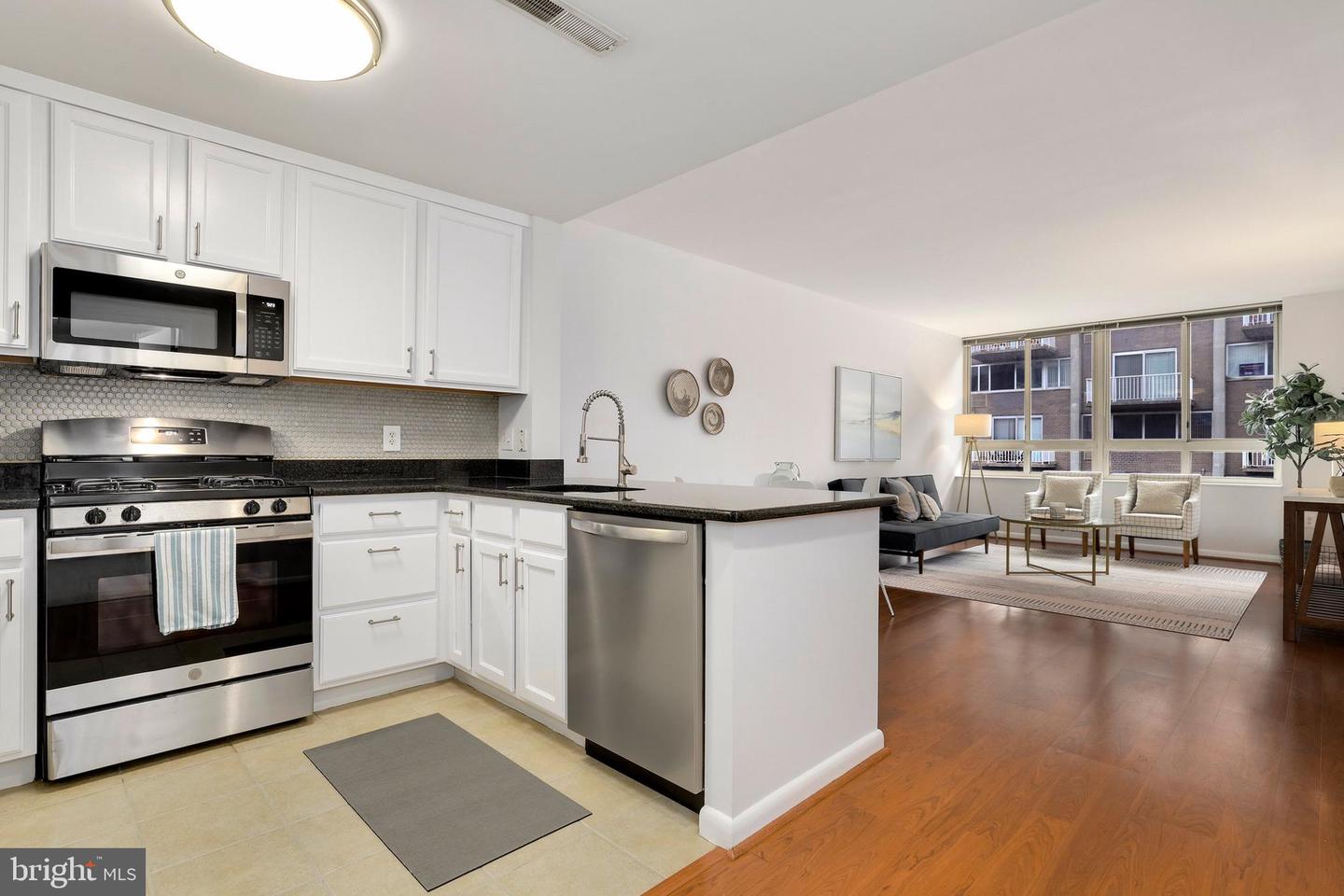 355 I Street SW Unit: S318