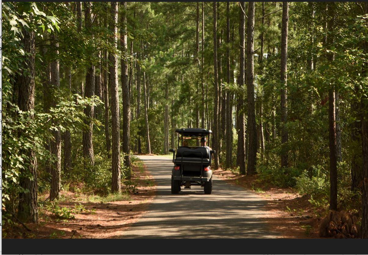 268 Shadybrook Drive