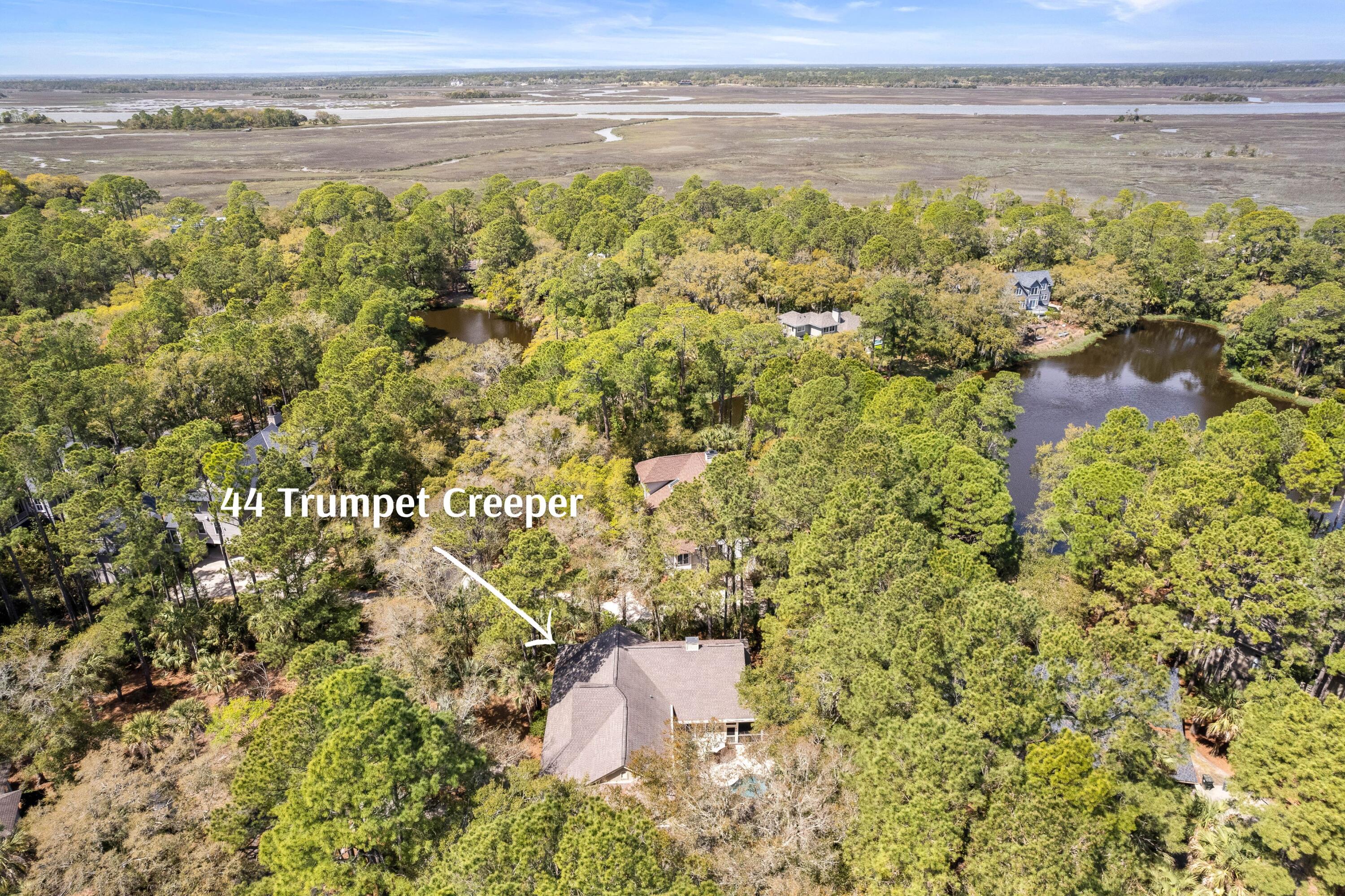 44 Trumpet Creeper Lane