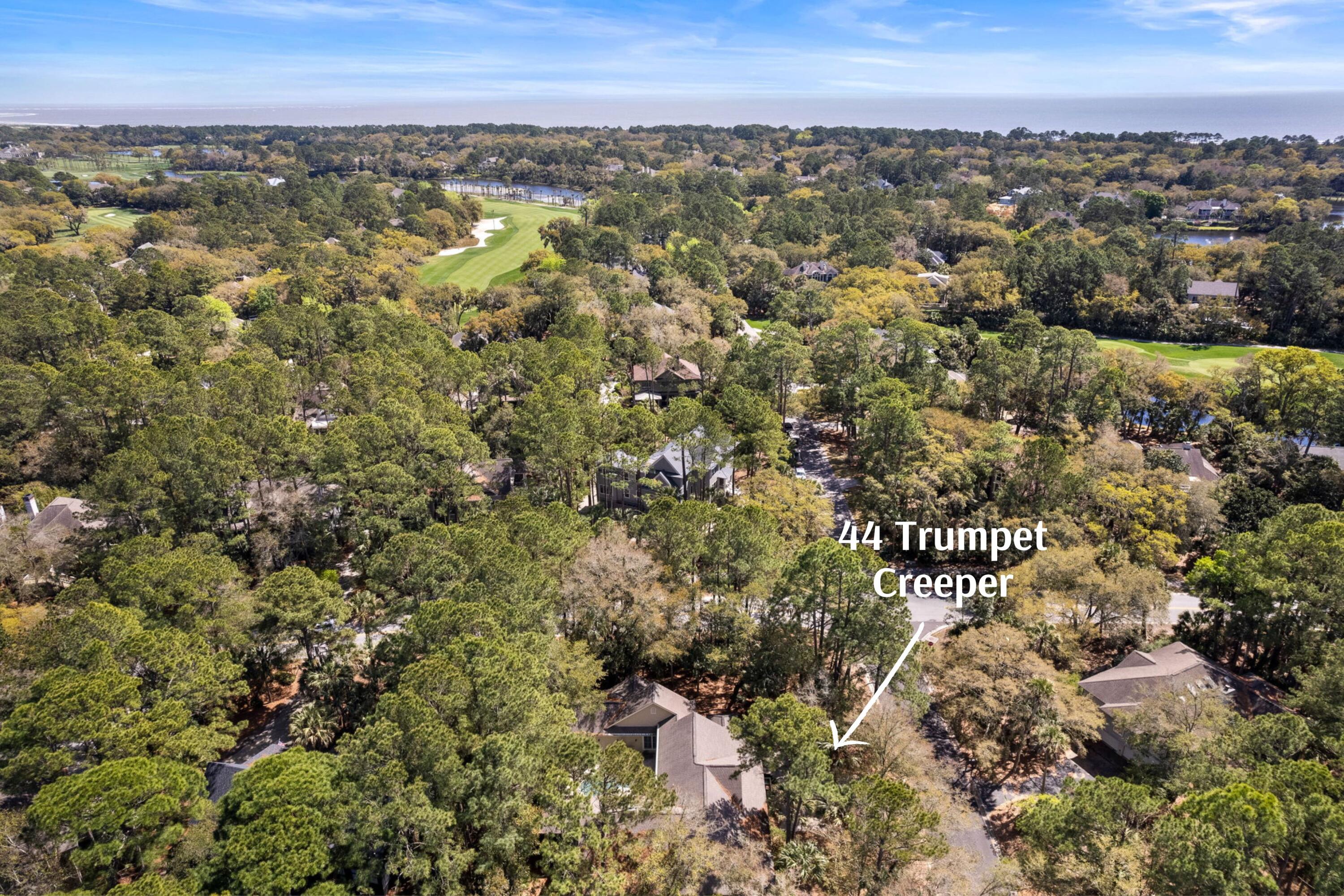 44 Trumpet Creeper Lane