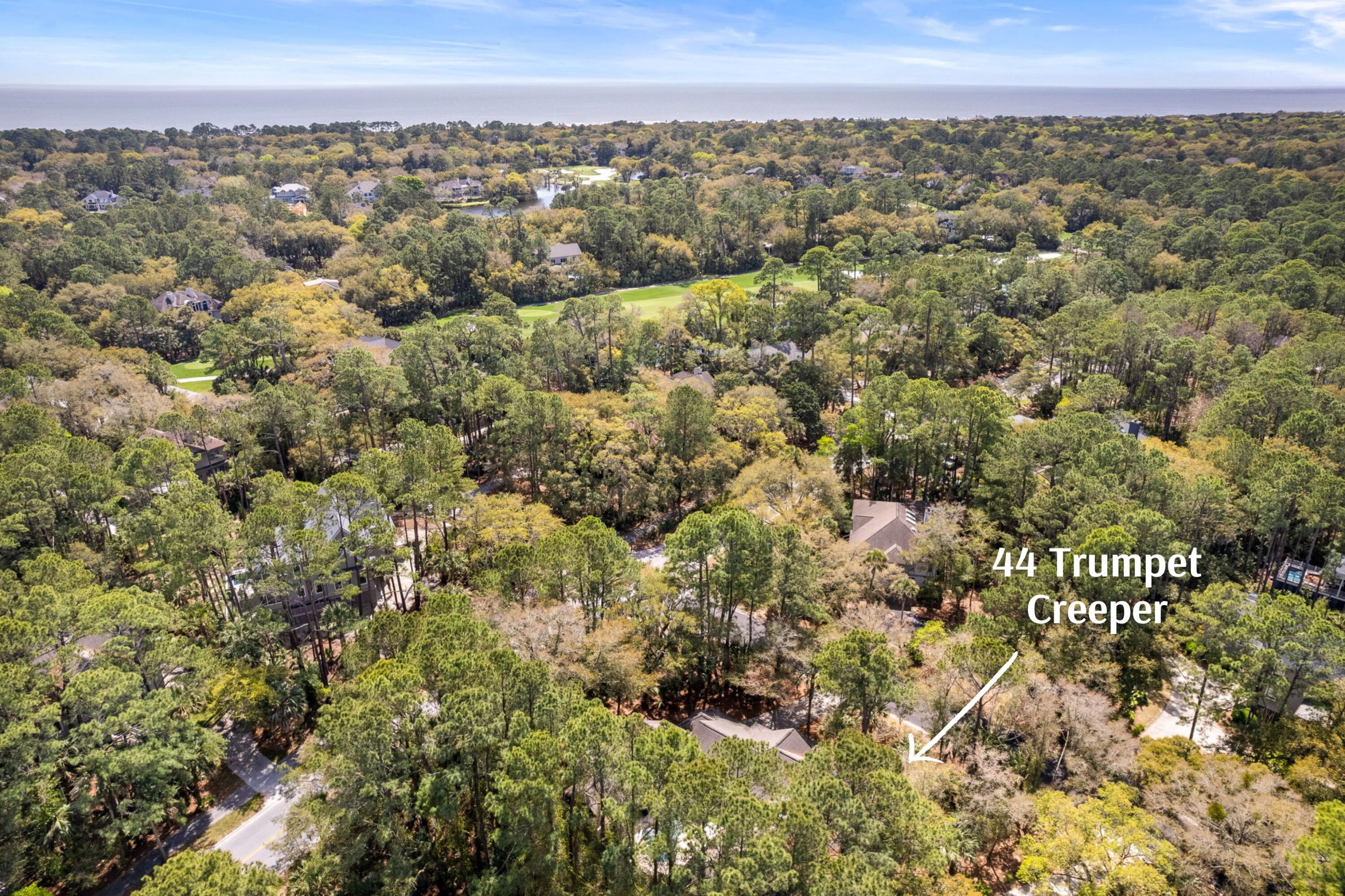 44 Trumpet Creeper Lane