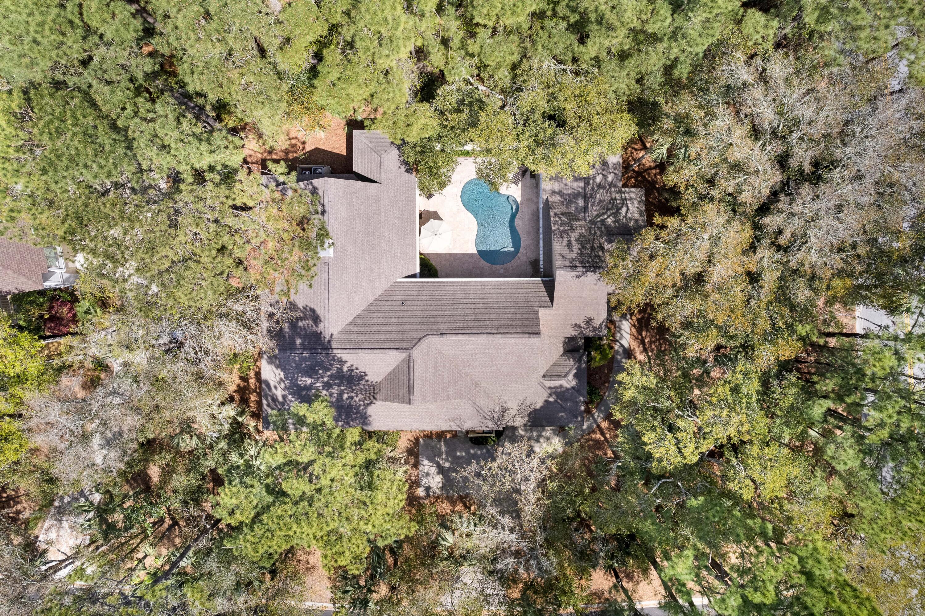 44 Trumpet Creeper Lane