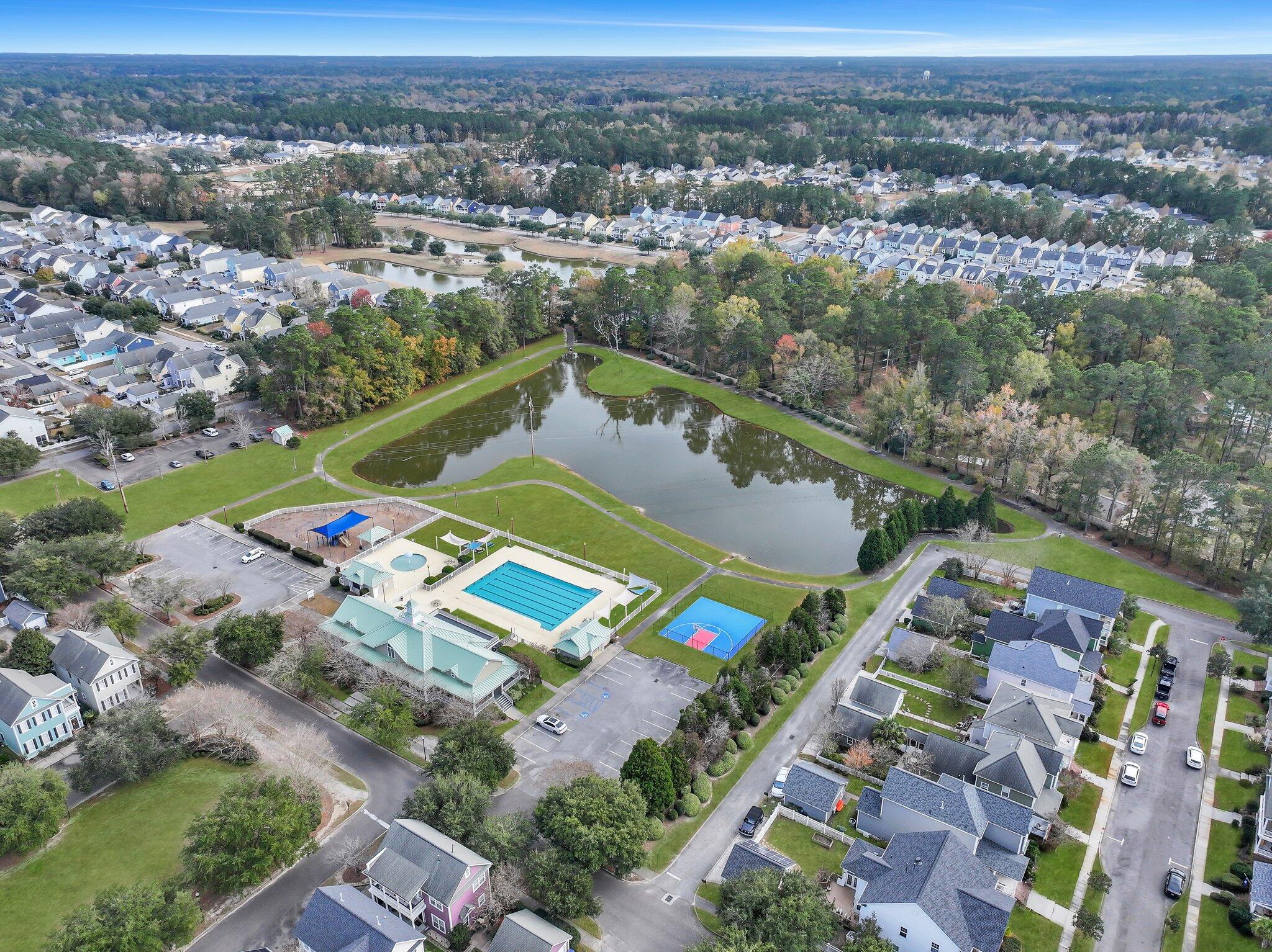 426 Forsythia Avenue