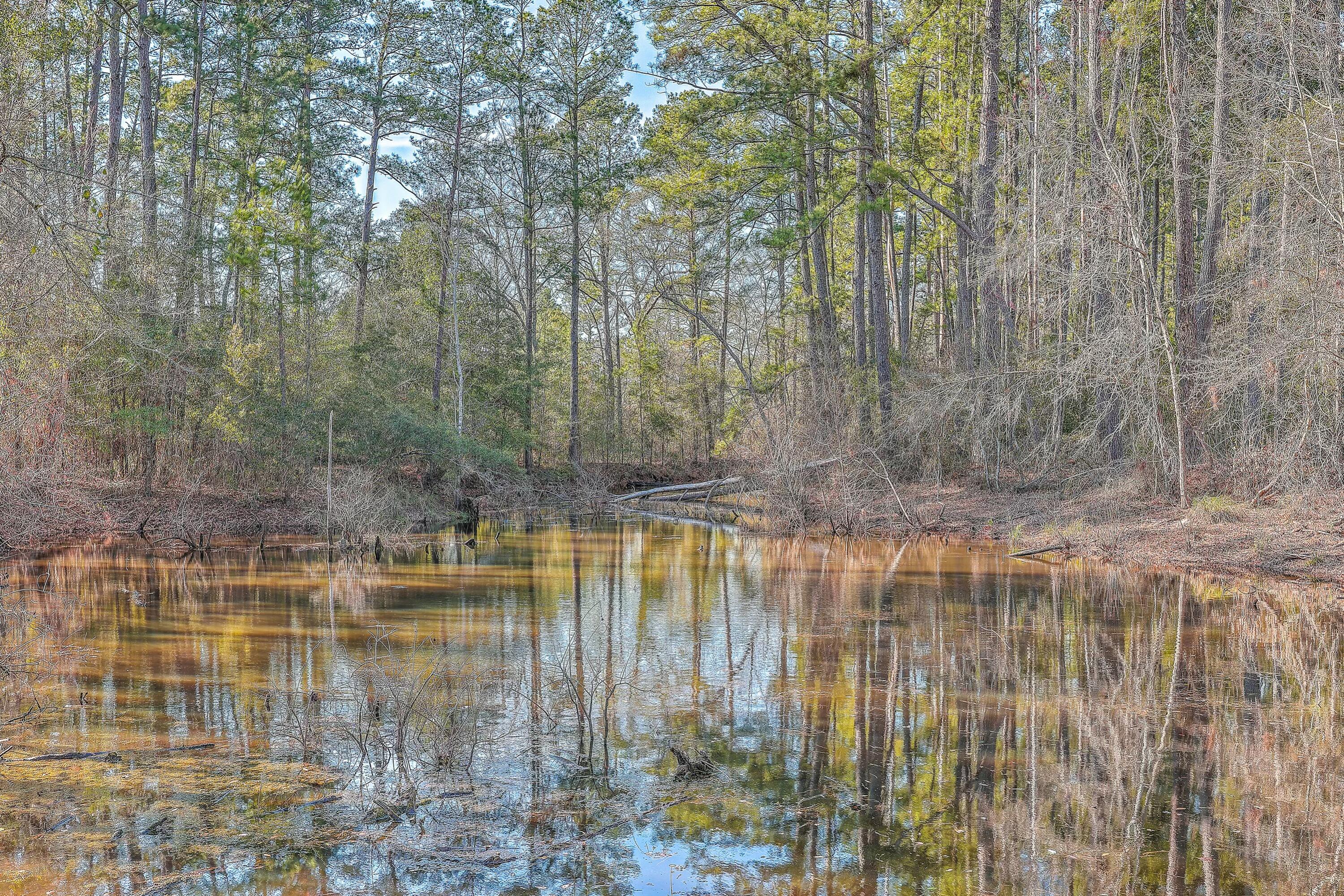 2953 Wolfe Creek Road