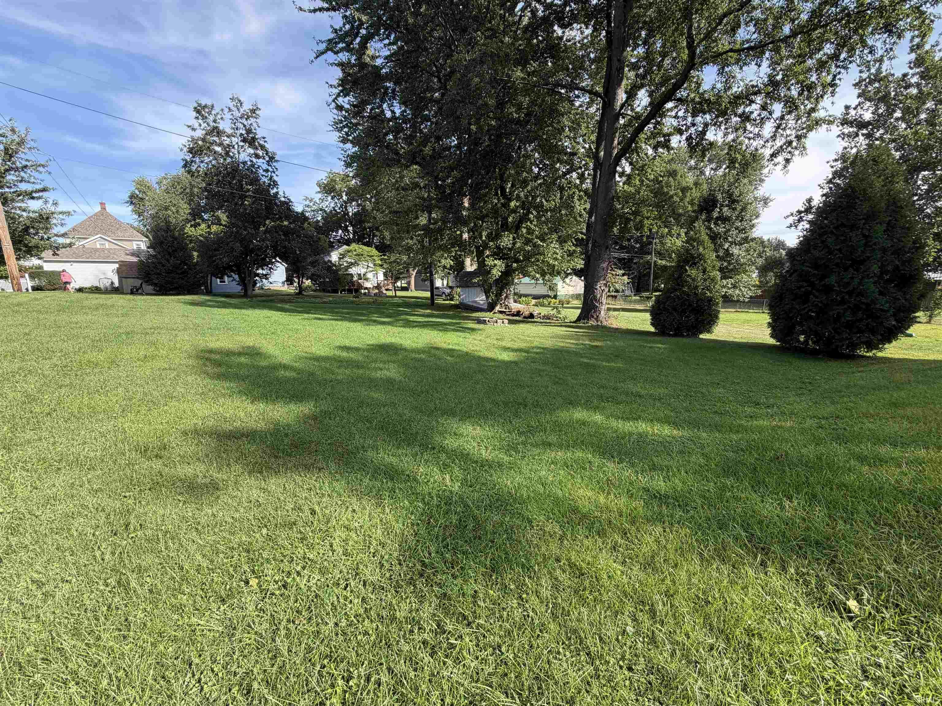 Spacious grassy yard with mature shade trees and two evergreen shrubs.