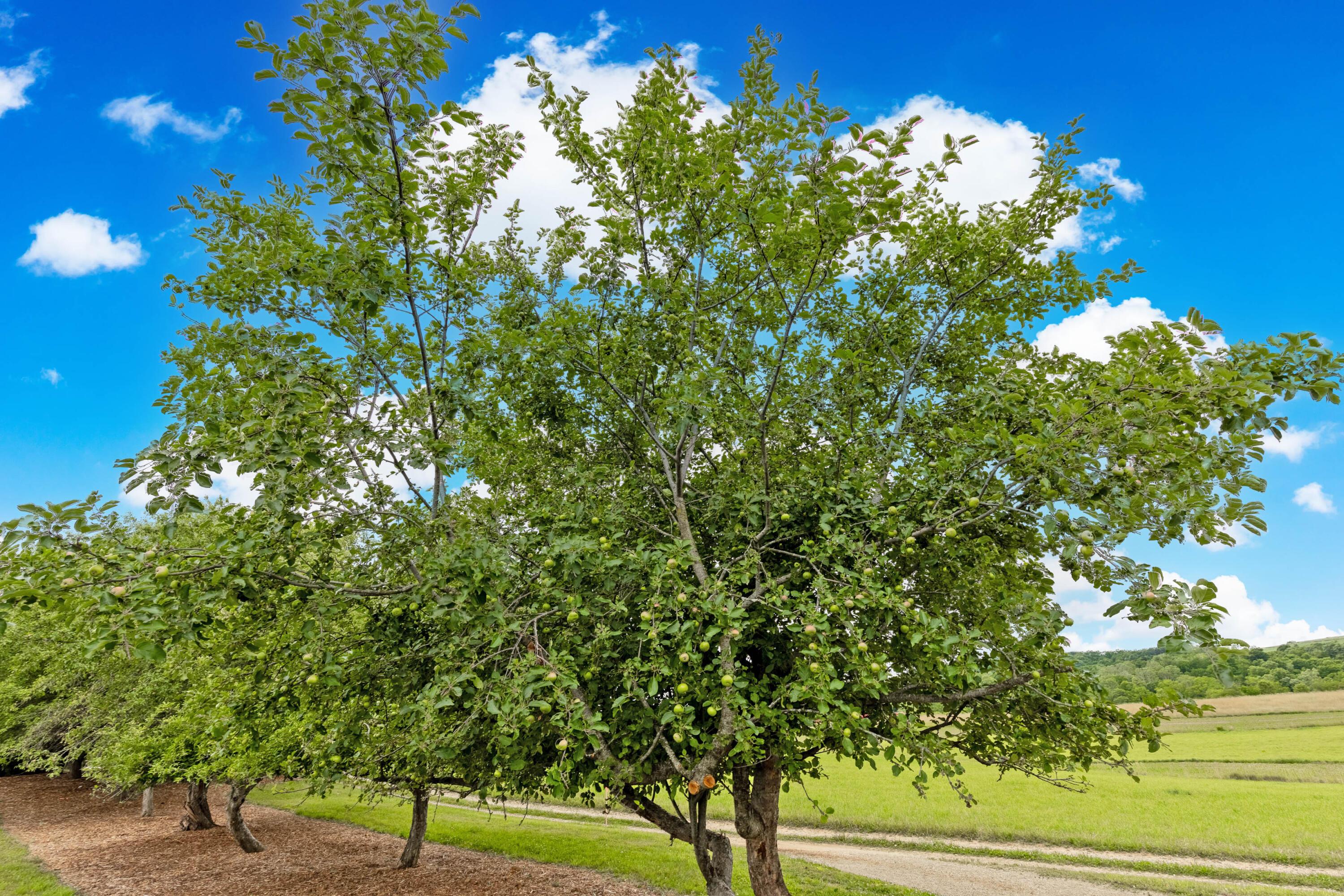 150 Township Road 2650