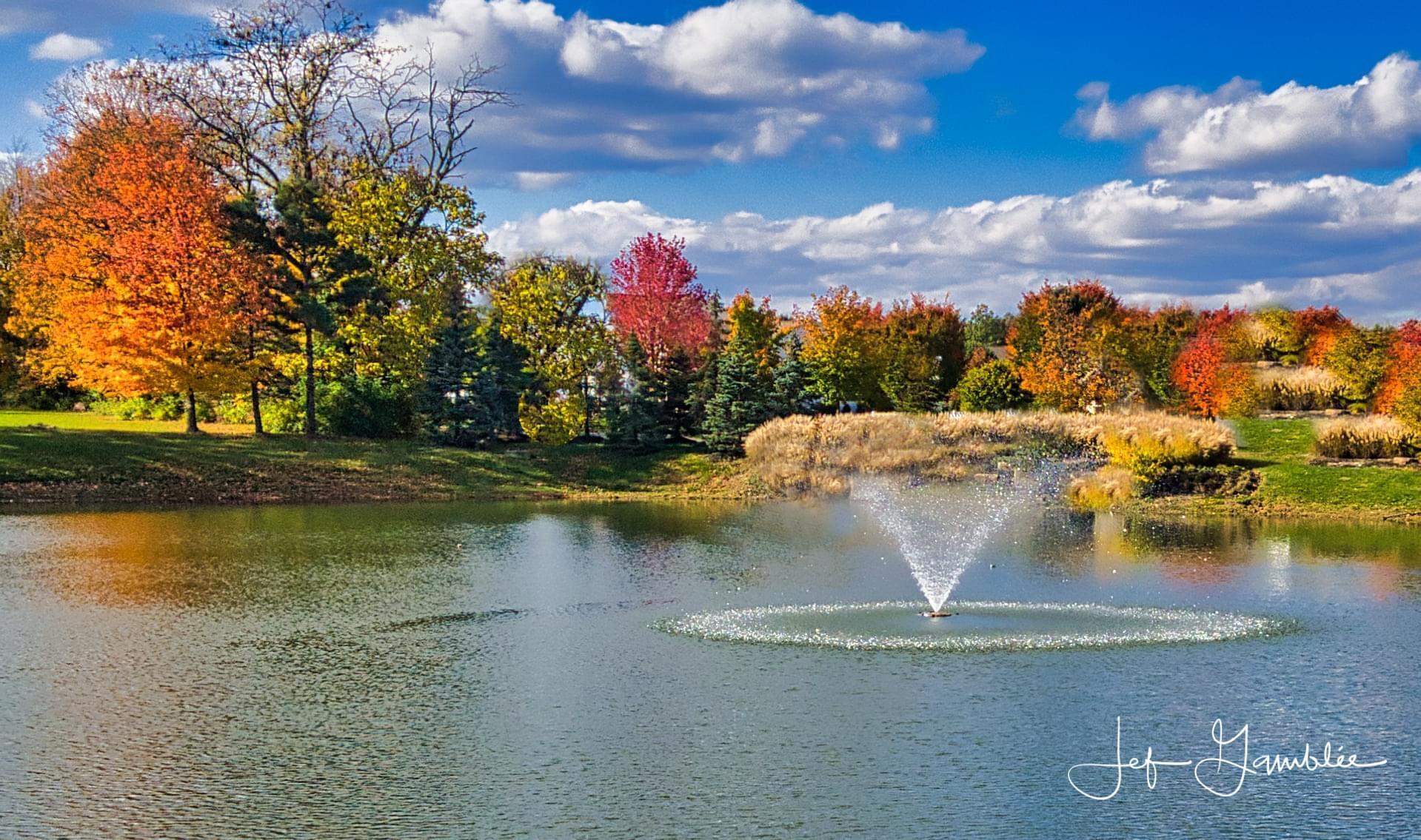 6030 Carlatun Street