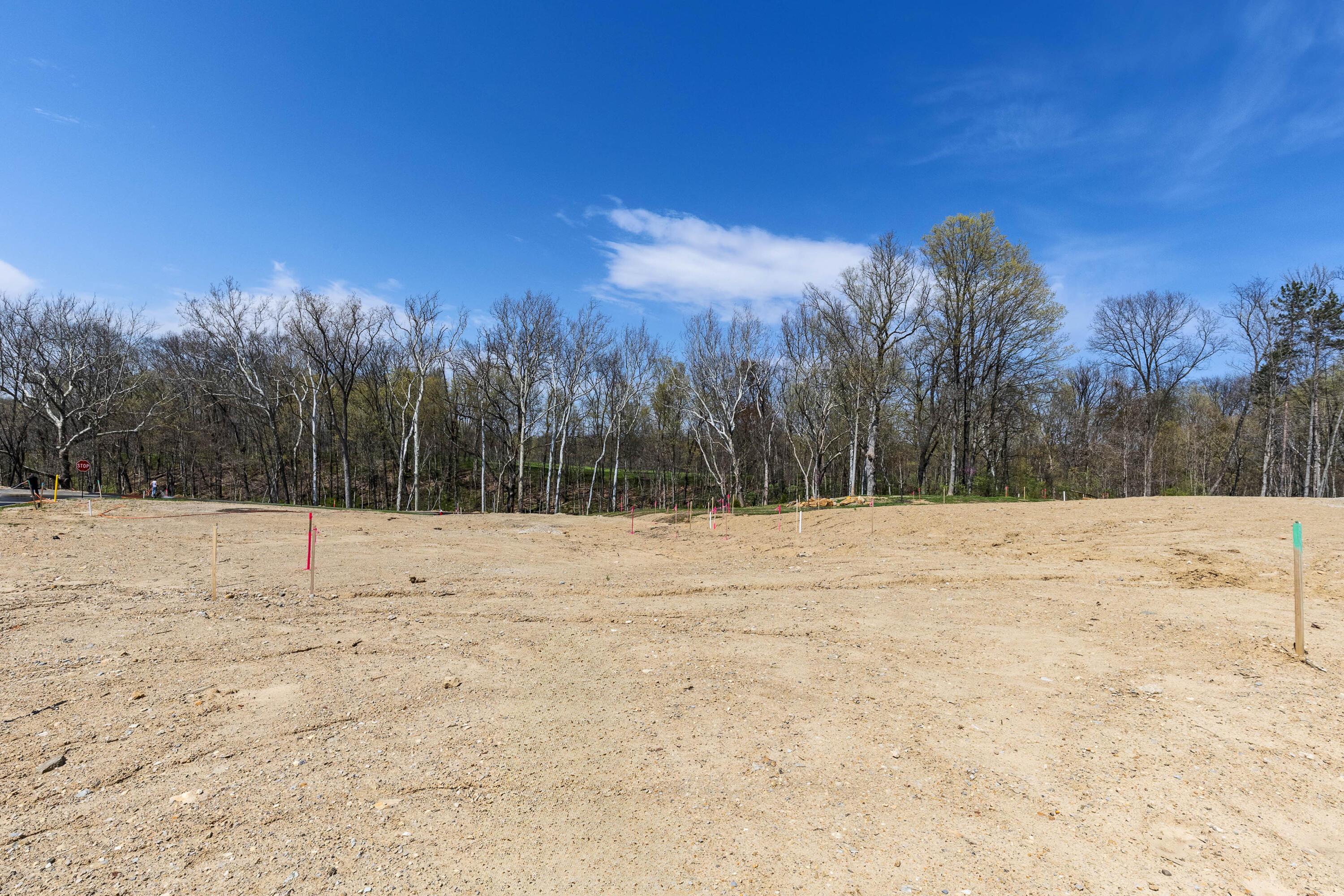 102 Stoneybank Drive, #15694, Developer lot#10