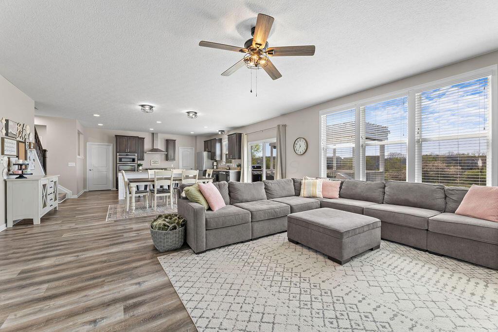 205 Saffron Drive