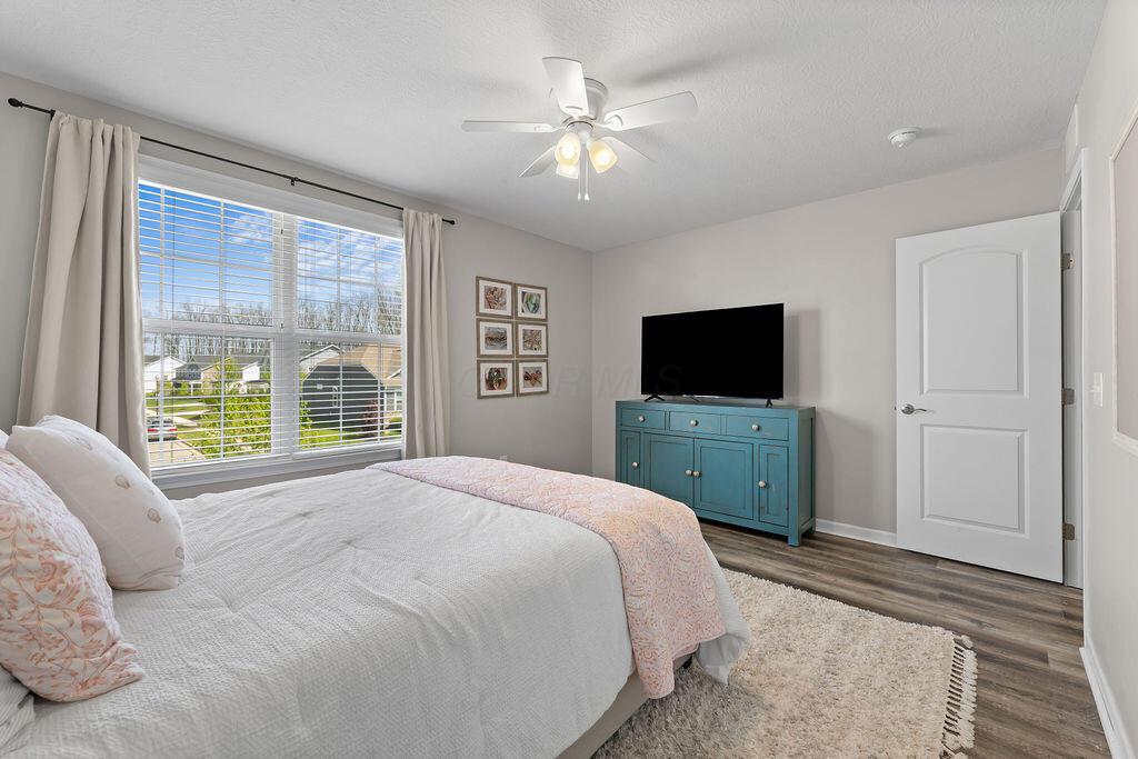 205 Saffron Drive