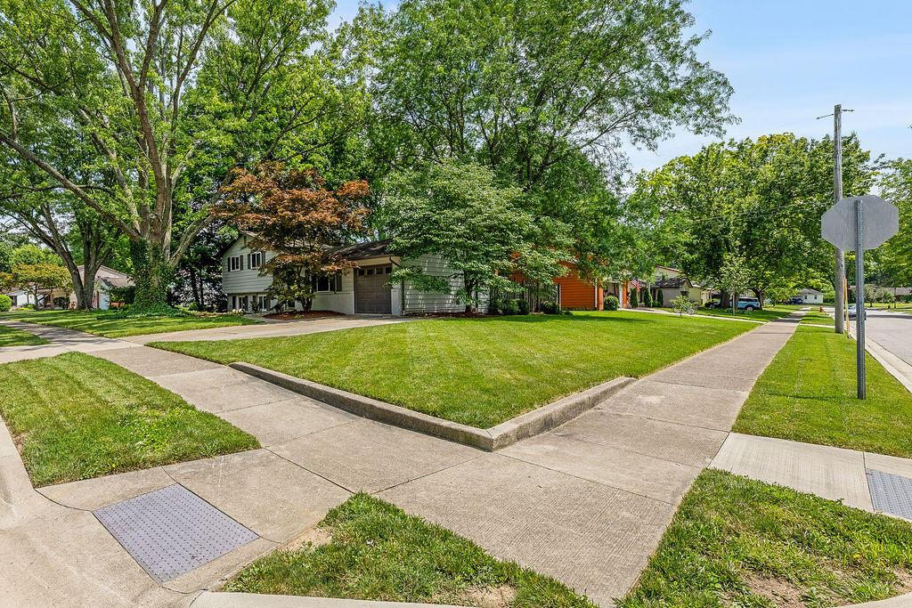 295 Allview Road