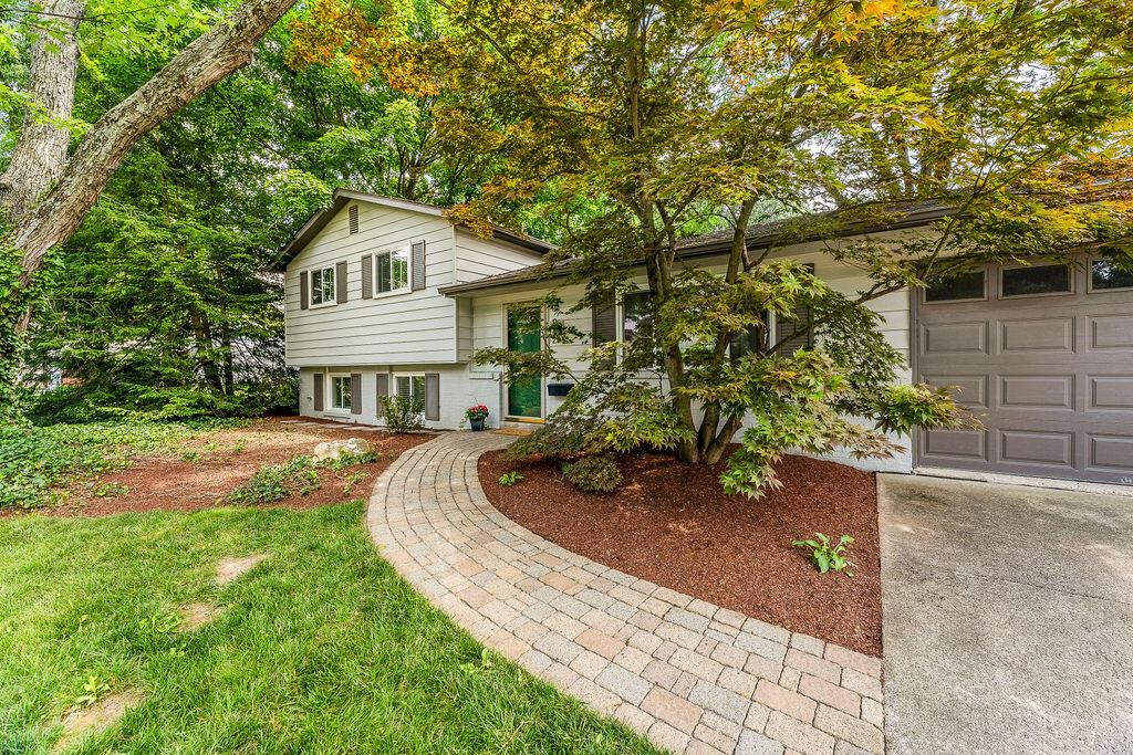 295 Allview Road