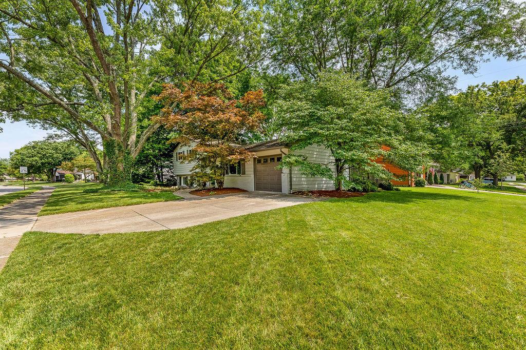 295 Allview Road