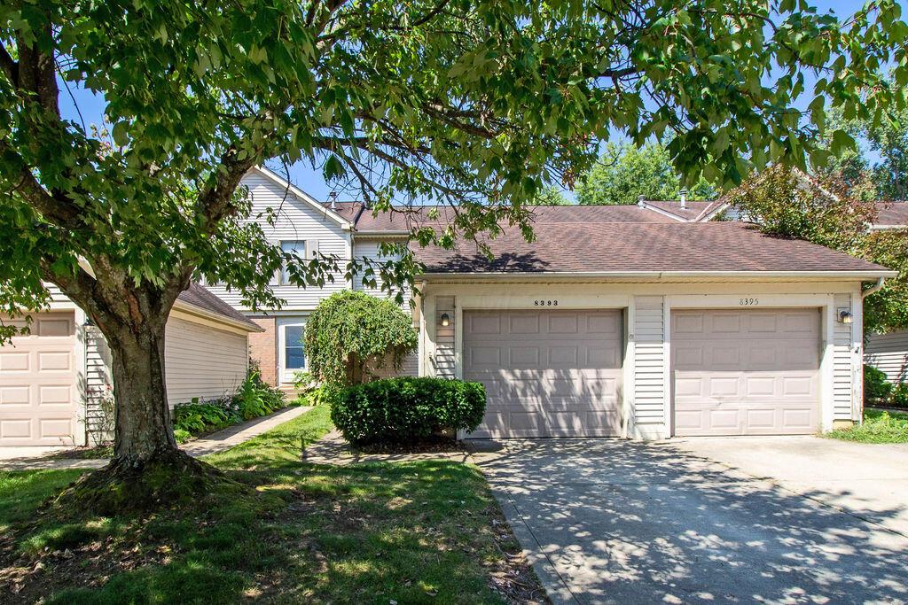8393 Cliffthorne Way