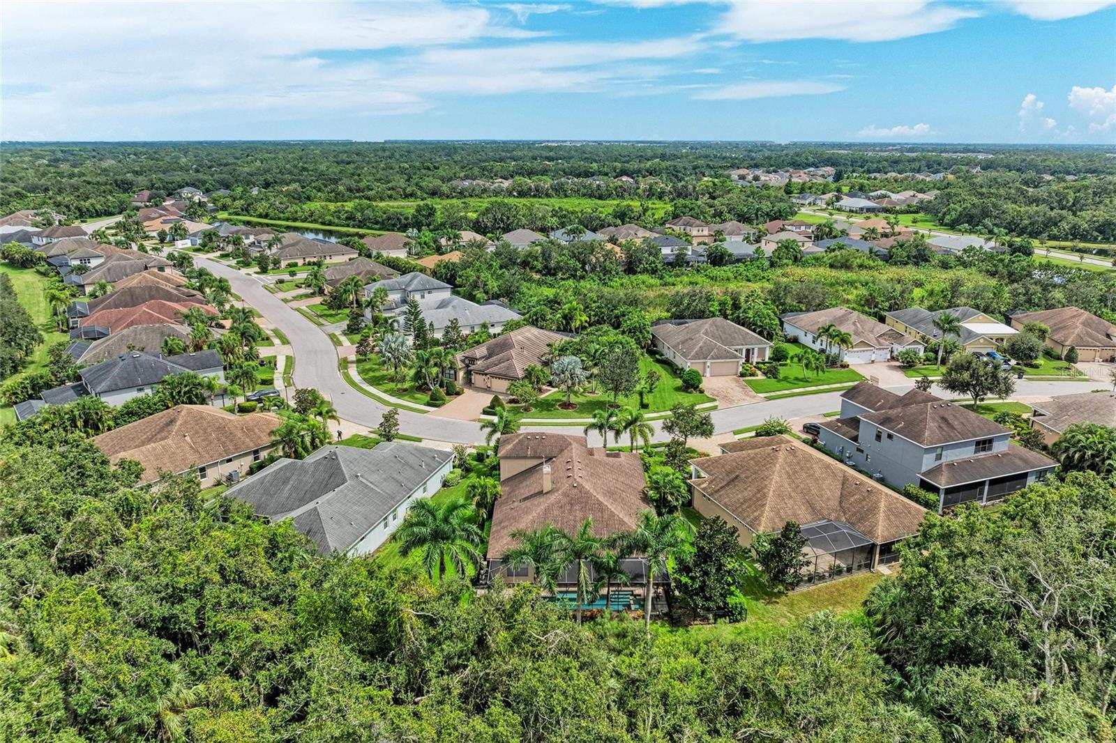 535 HONEYFLOWER LOOP