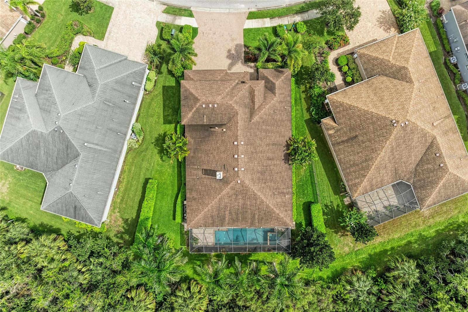 535 HONEYFLOWER LOOP