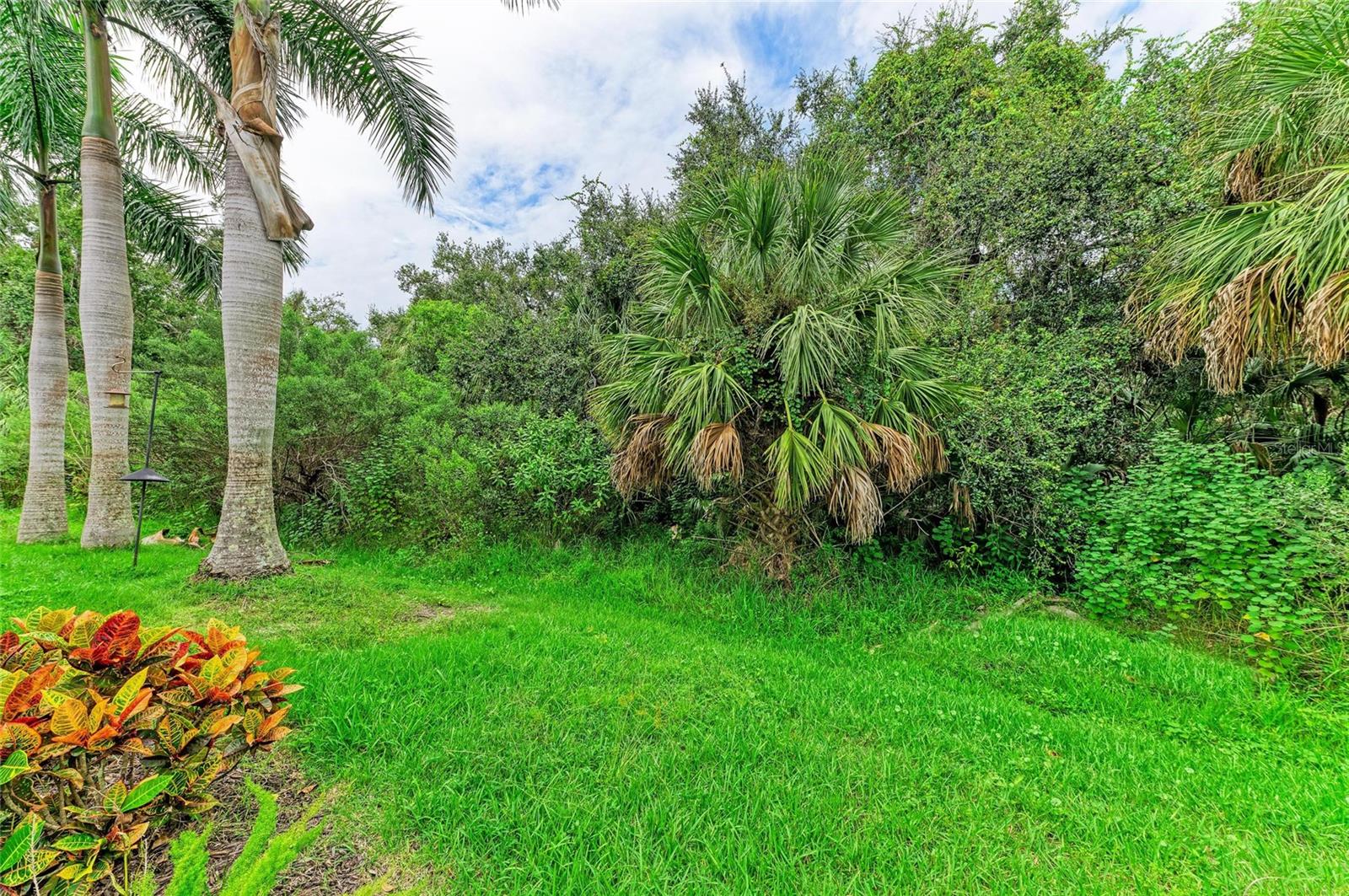 535 HONEYFLOWER LOOP