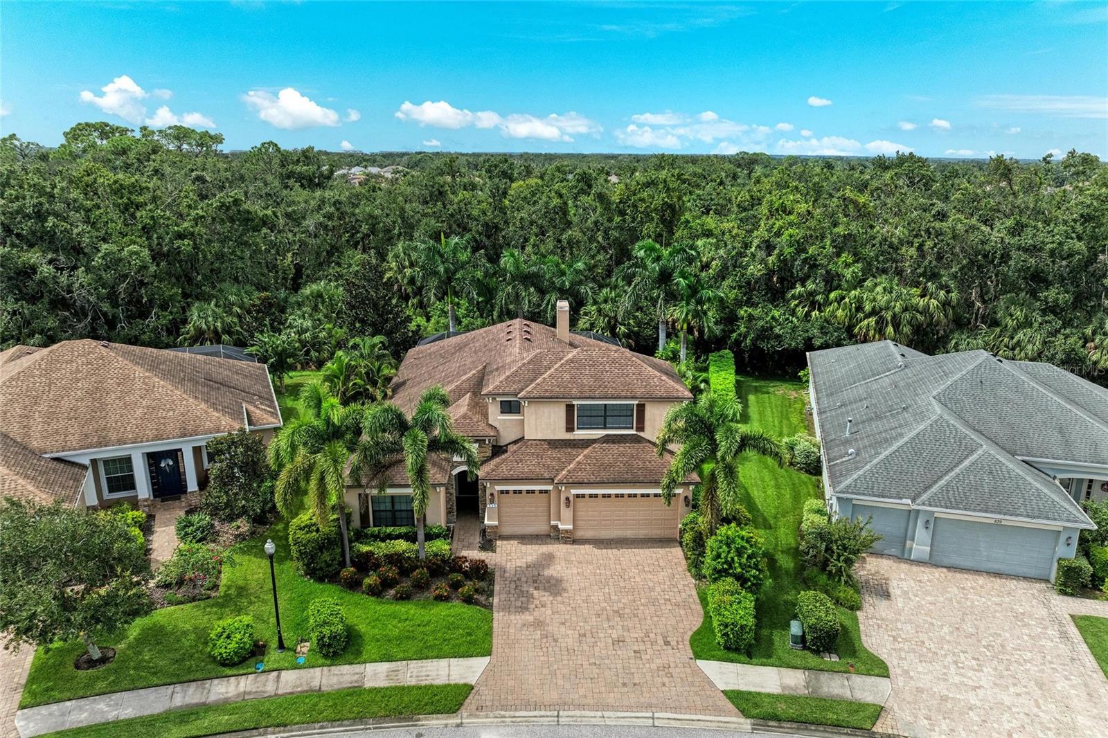 535 HONEYFLOWER LOOP