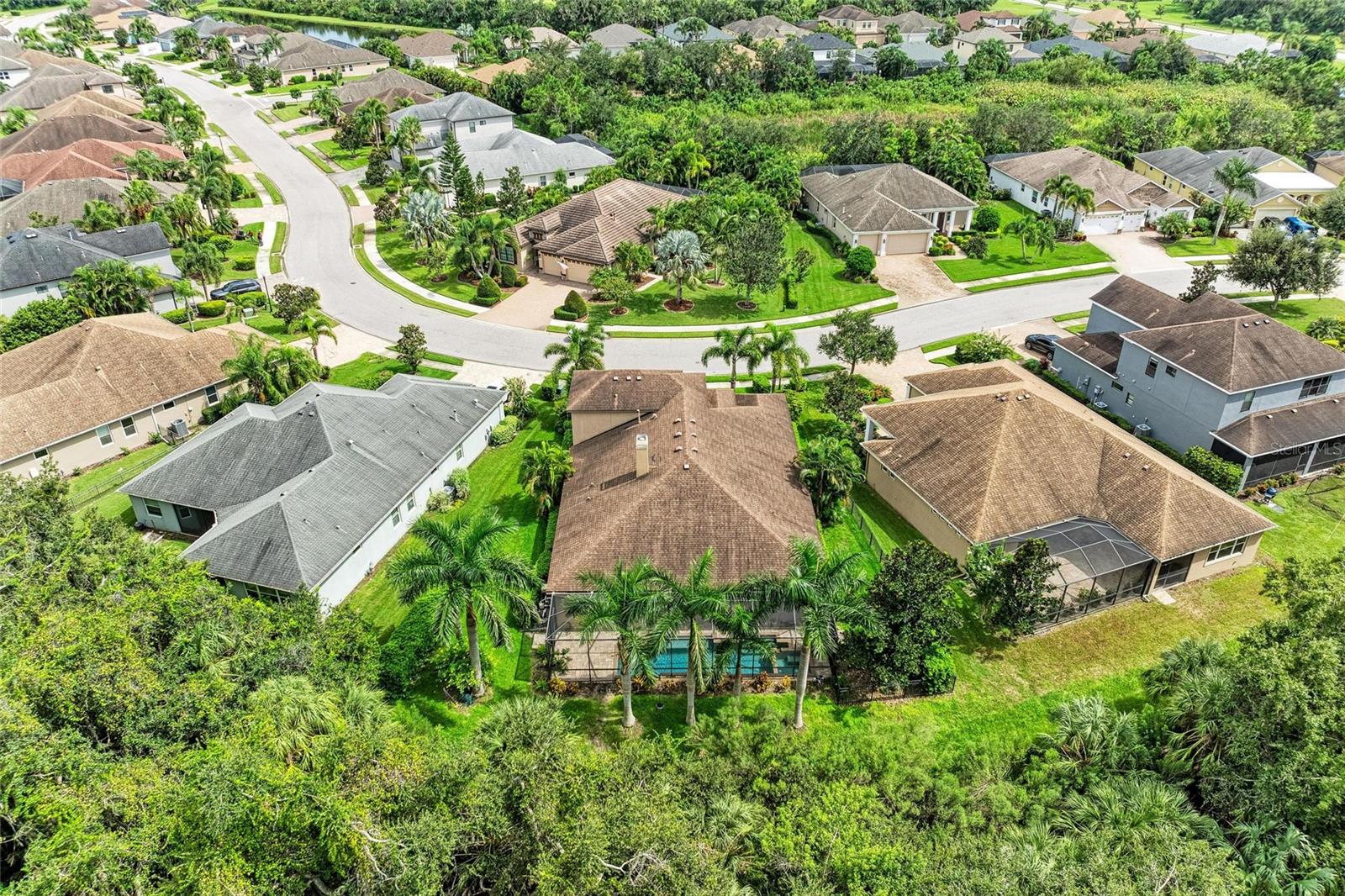 535 HONEYFLOWER LOOP