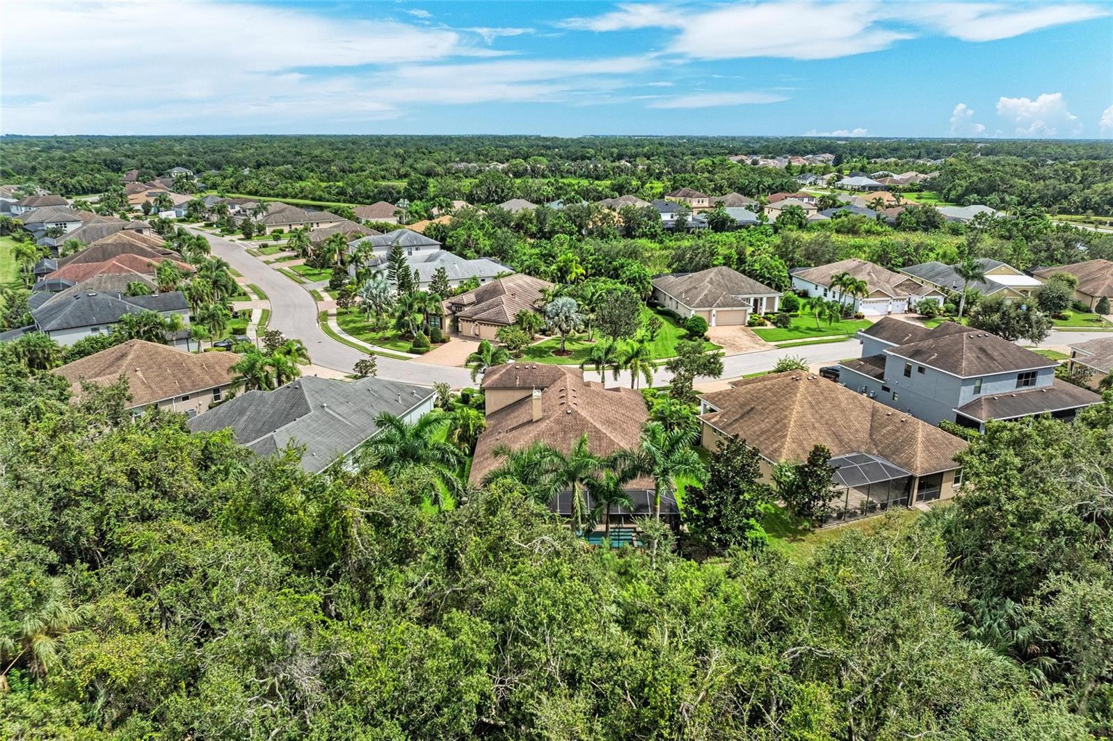 535 HONEYFLOWER LOOP