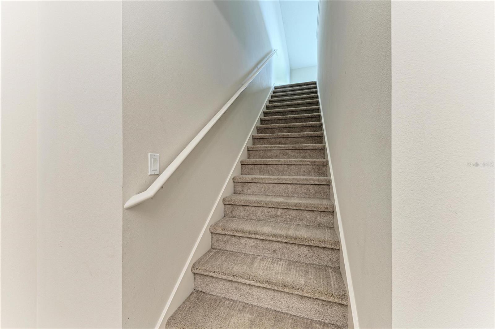 535 HONEYFLOWER LOOP