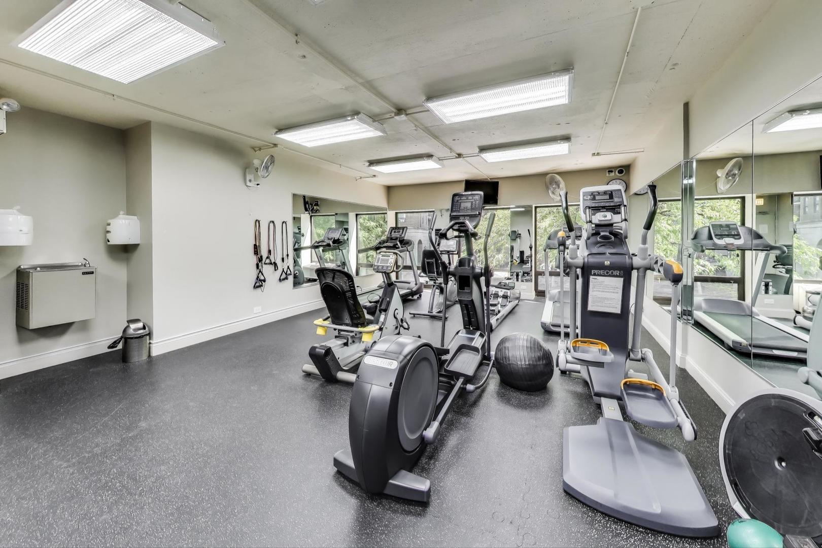 1100 N LAKE SHORE Drive Unit: 19C