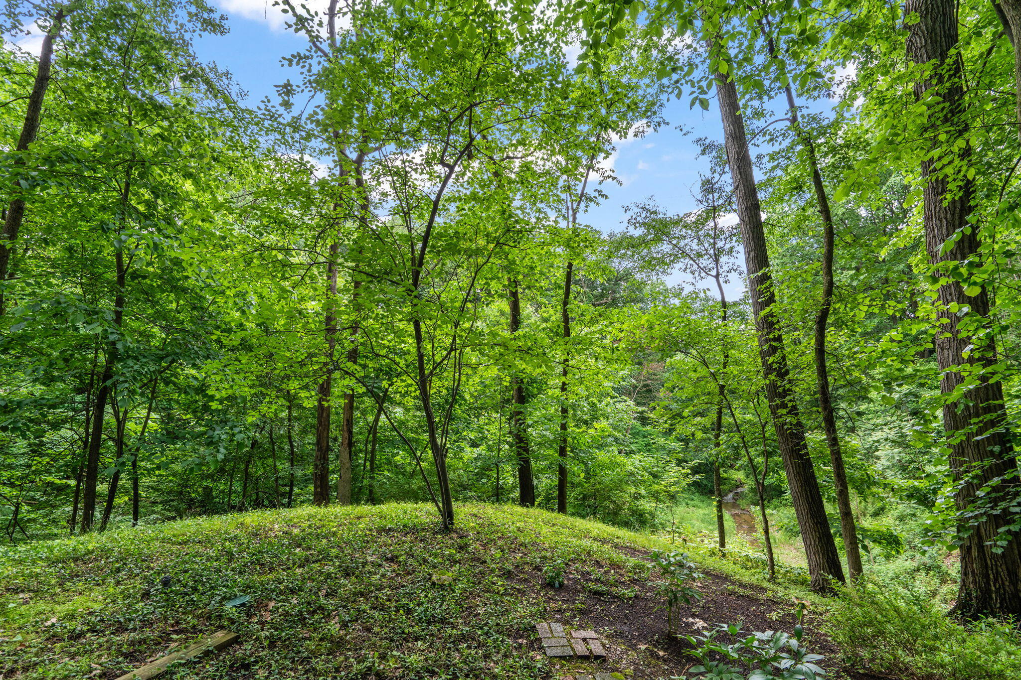 2403 Sherwood Drive