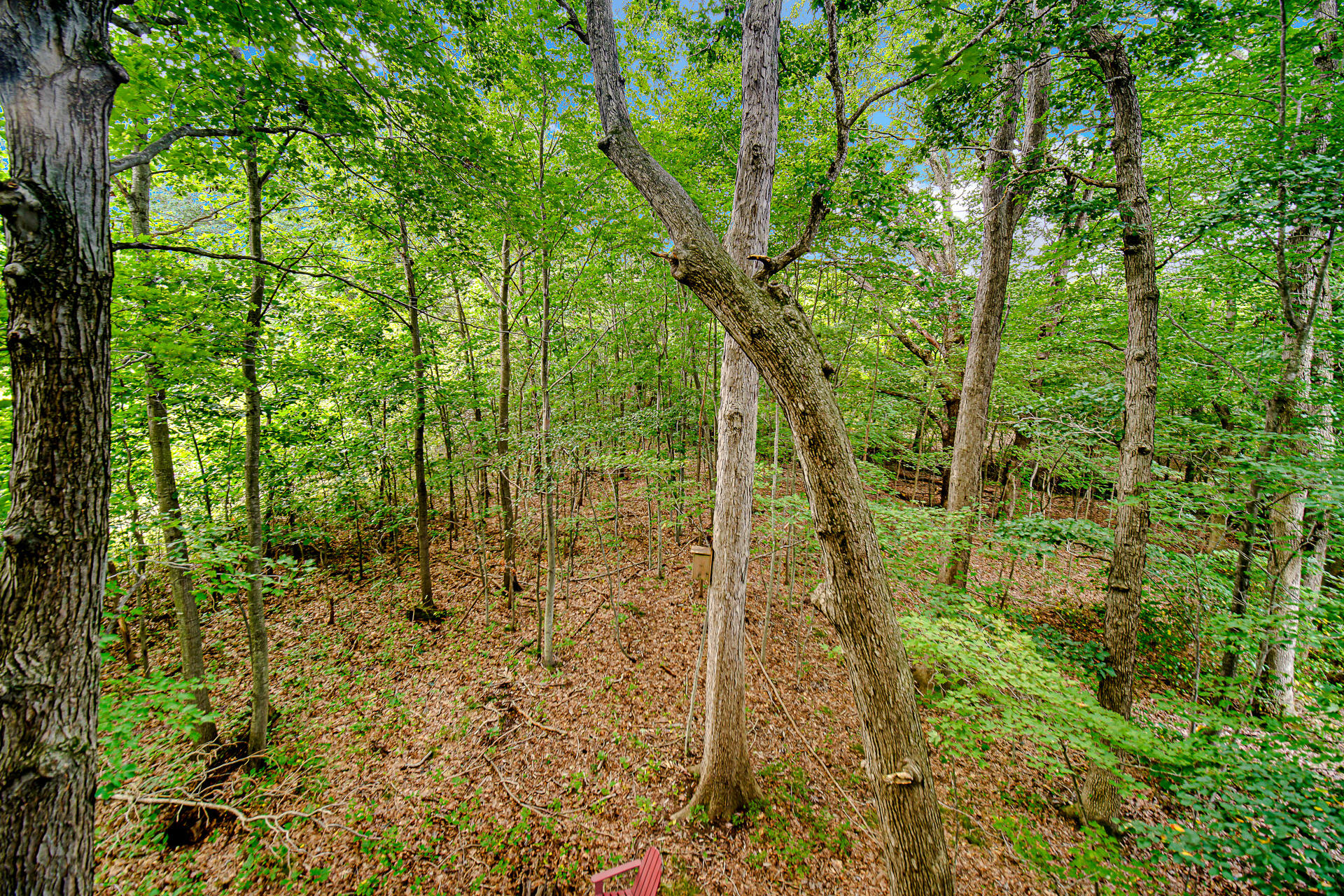 69 Tryon Farm Lane