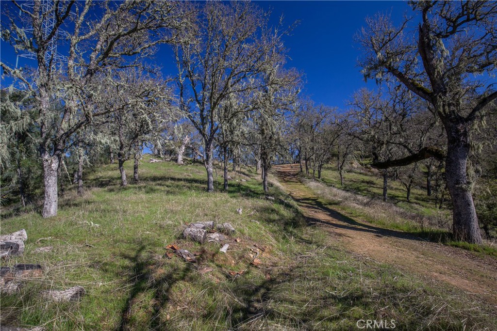 4555 Las Pilitas Road