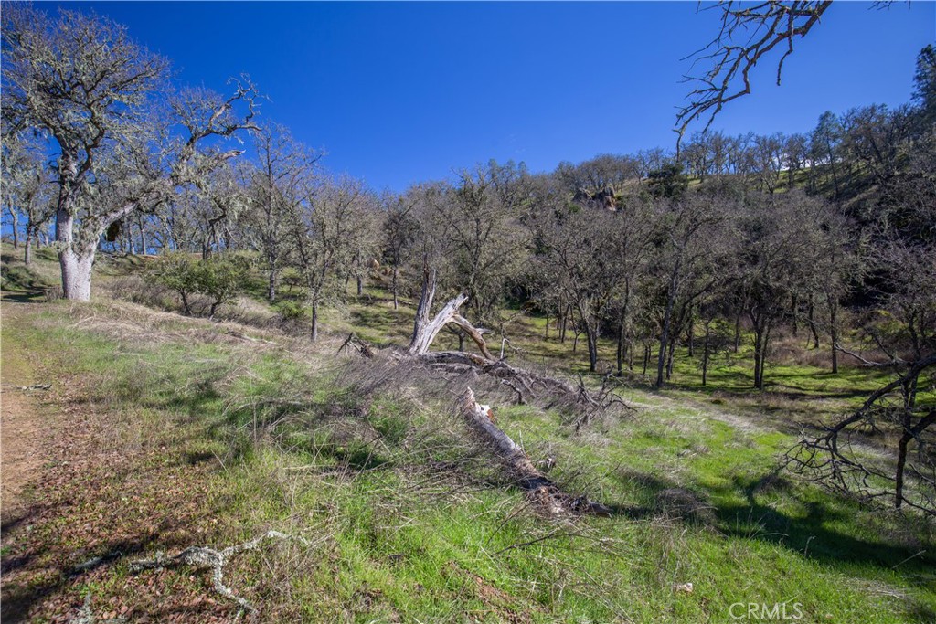 4555 Las Pilitas Road