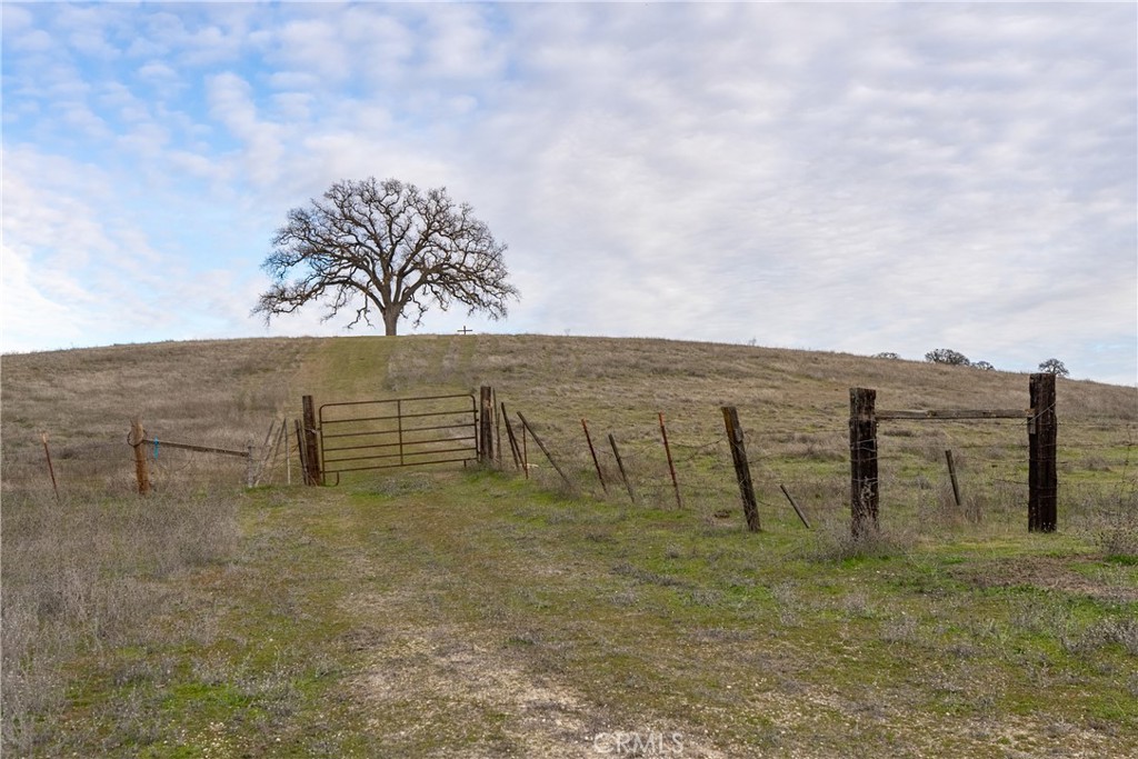 2450 Golden Hill Road