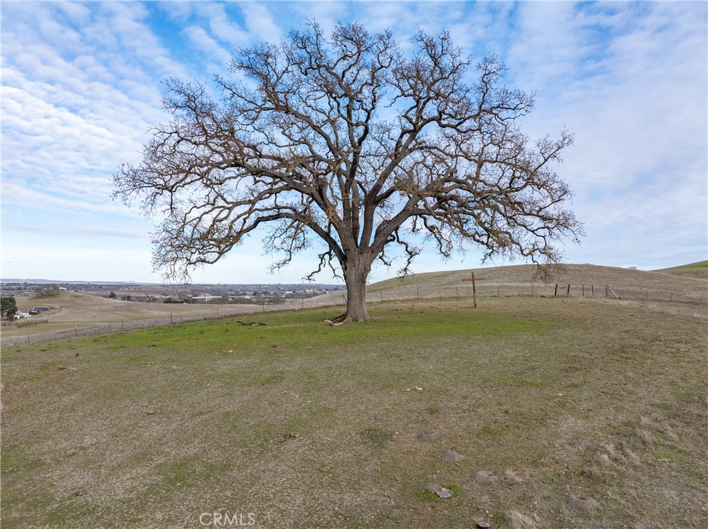 2450 Golden Hill Road