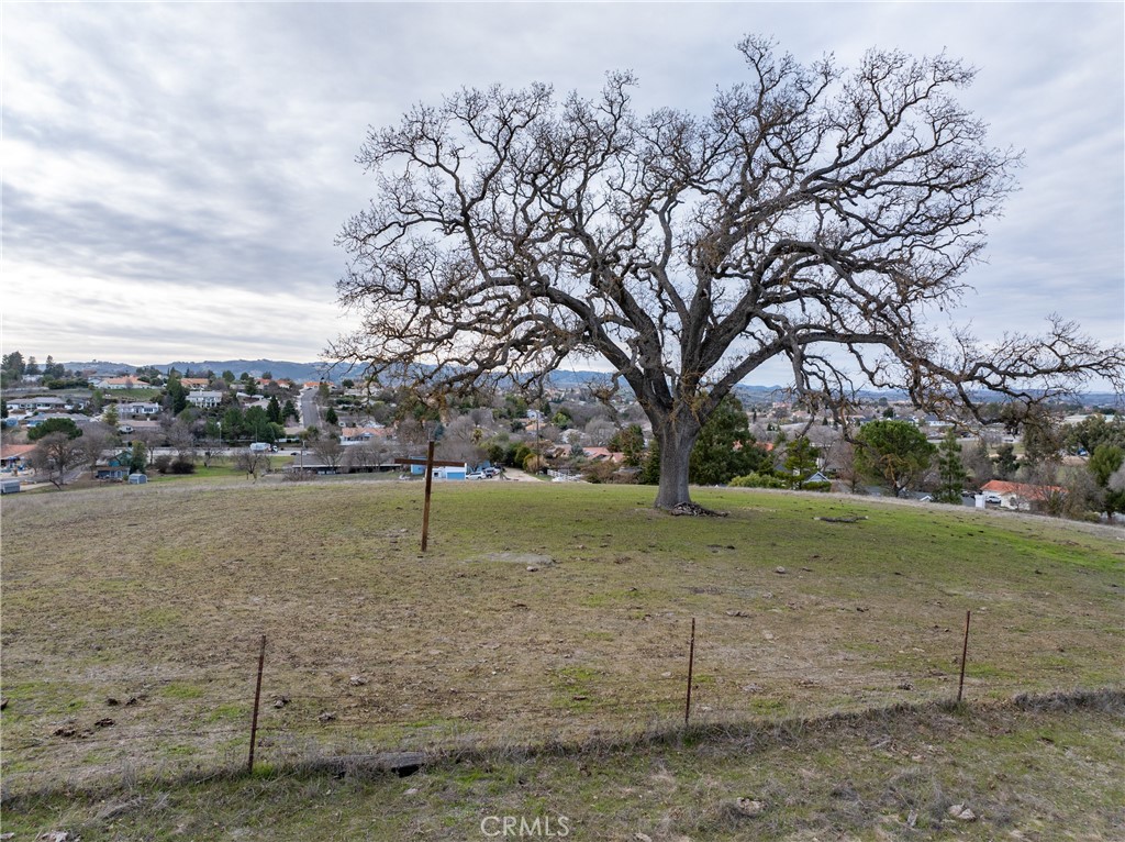 2450 Golden Hill Road