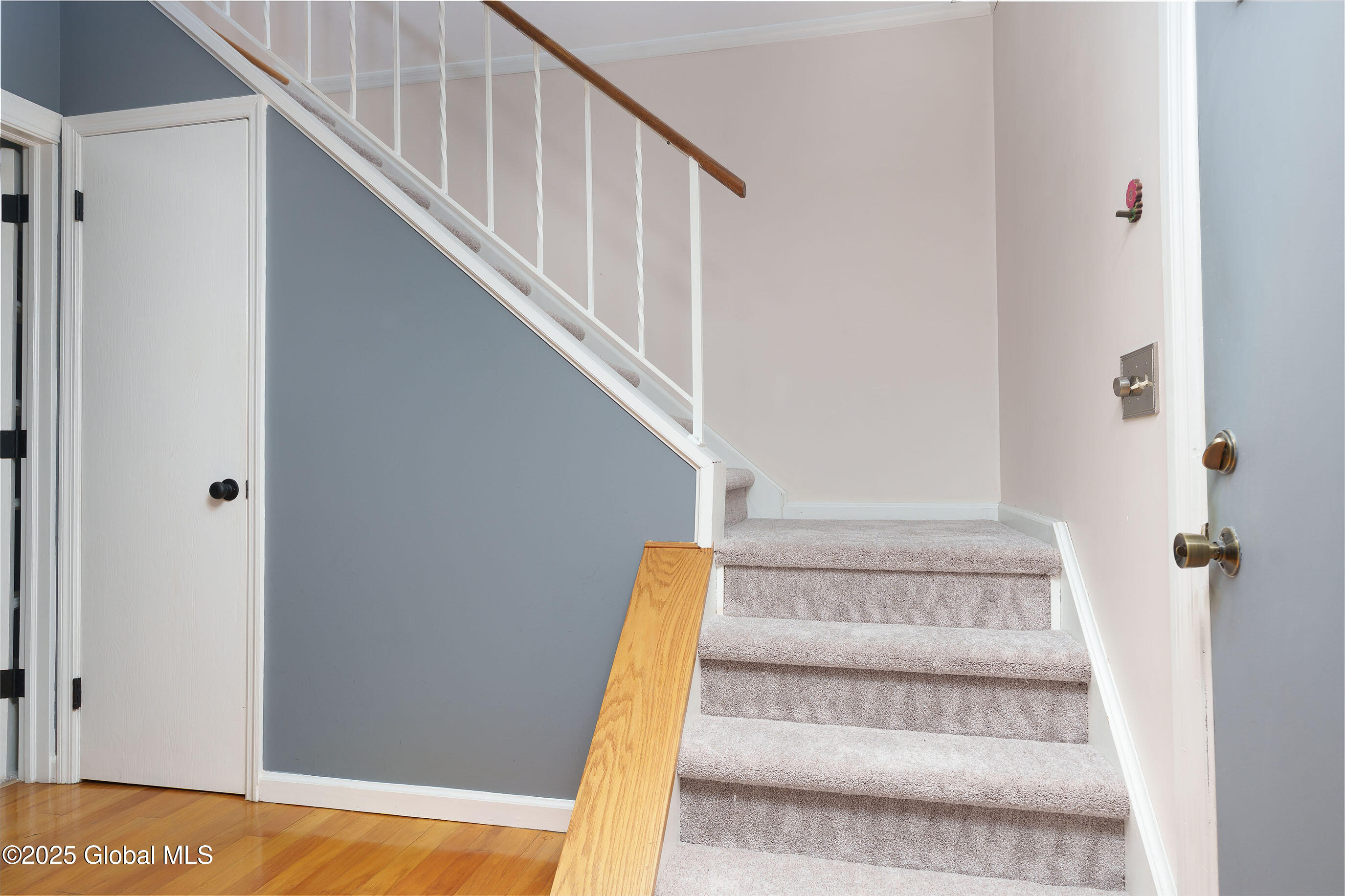 24 Commonwealth Drive