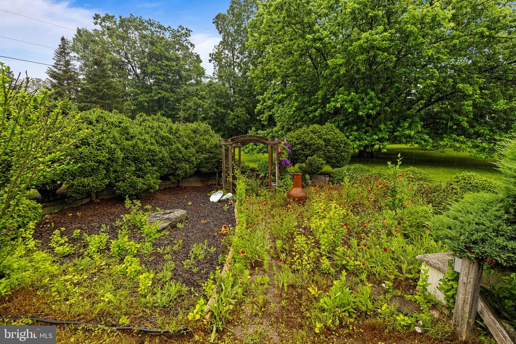 1115 BUCKHORN ROAD