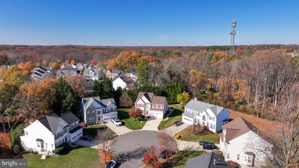 11206 POPLAR GROVE COURT
