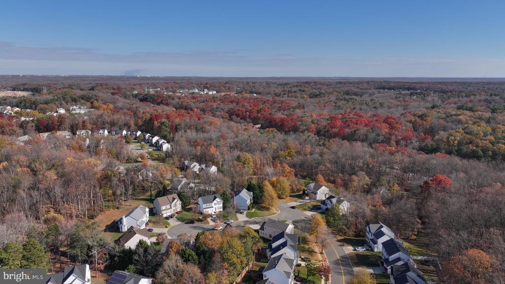 11206 POPLAR GROVE COURT