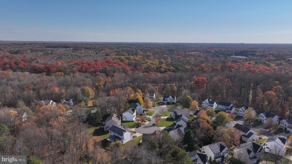 11206 POPLAR GROVE COURT