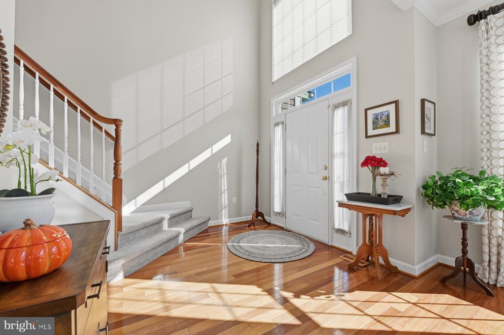11206 POPLAR GROVE COURT