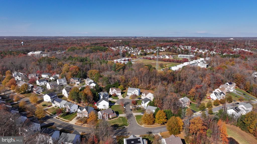 11206 POPLAR GROVE COURT