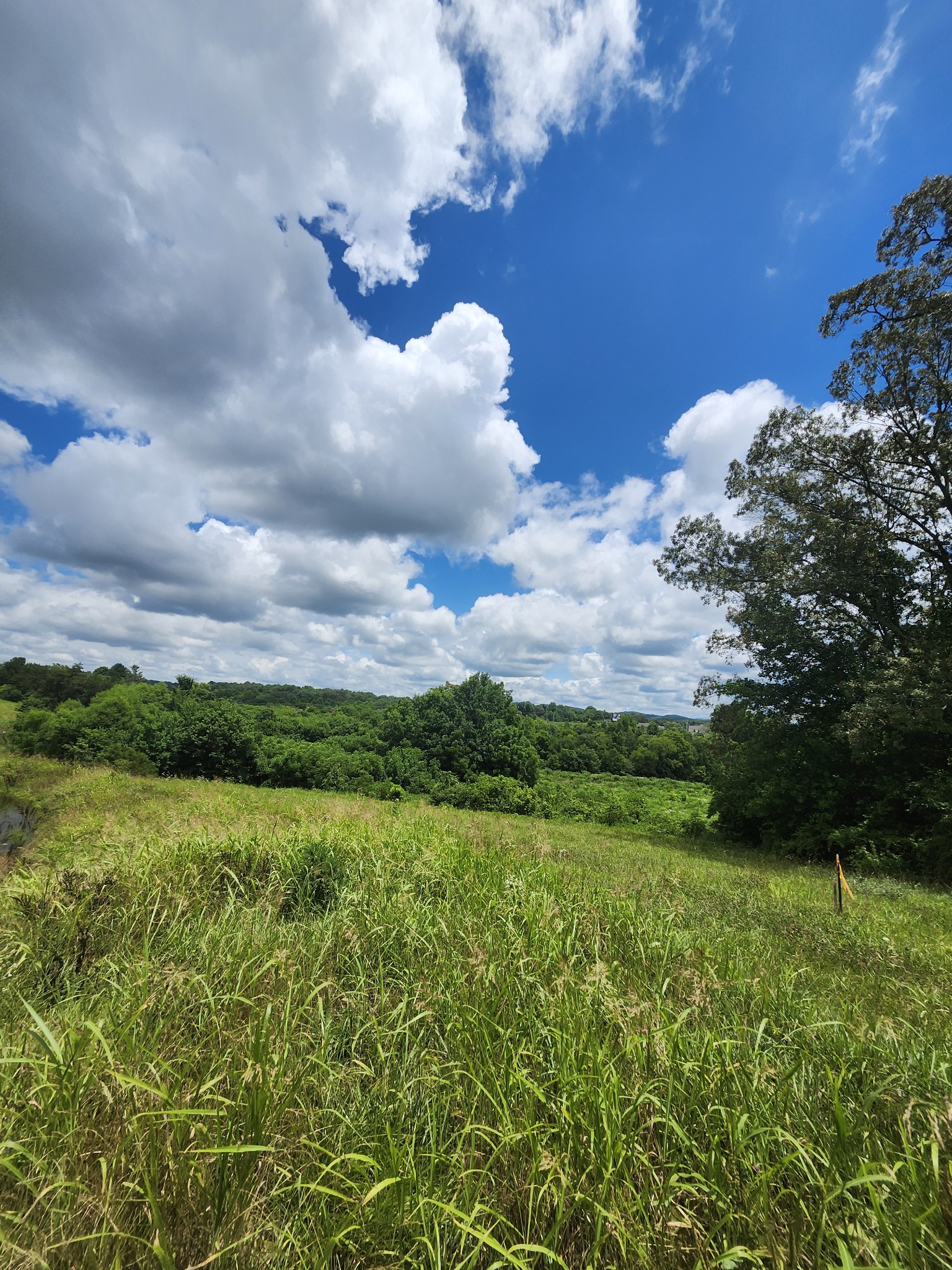 5440 Timberwalk Lane