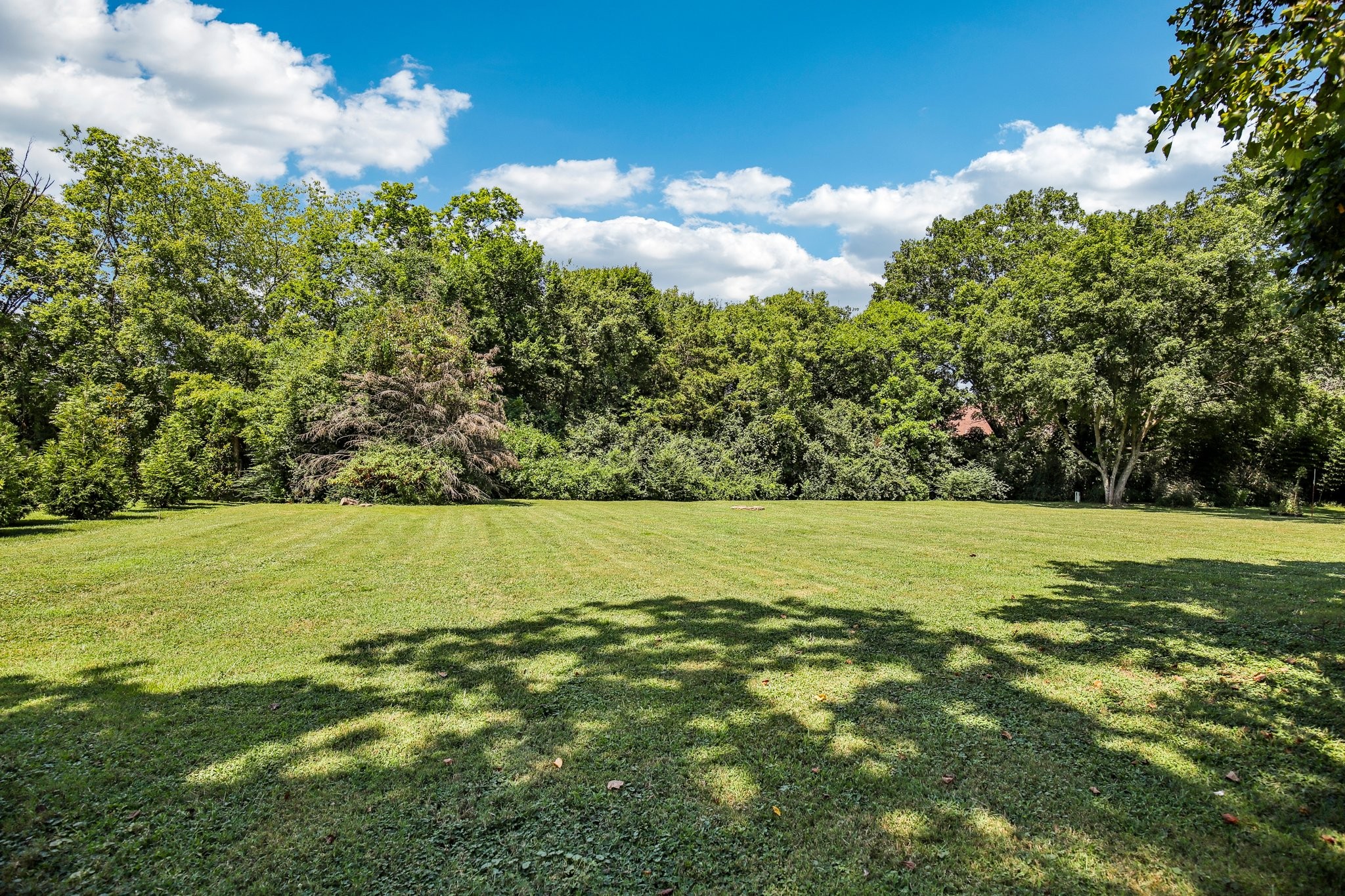 311 Robinhood Rd