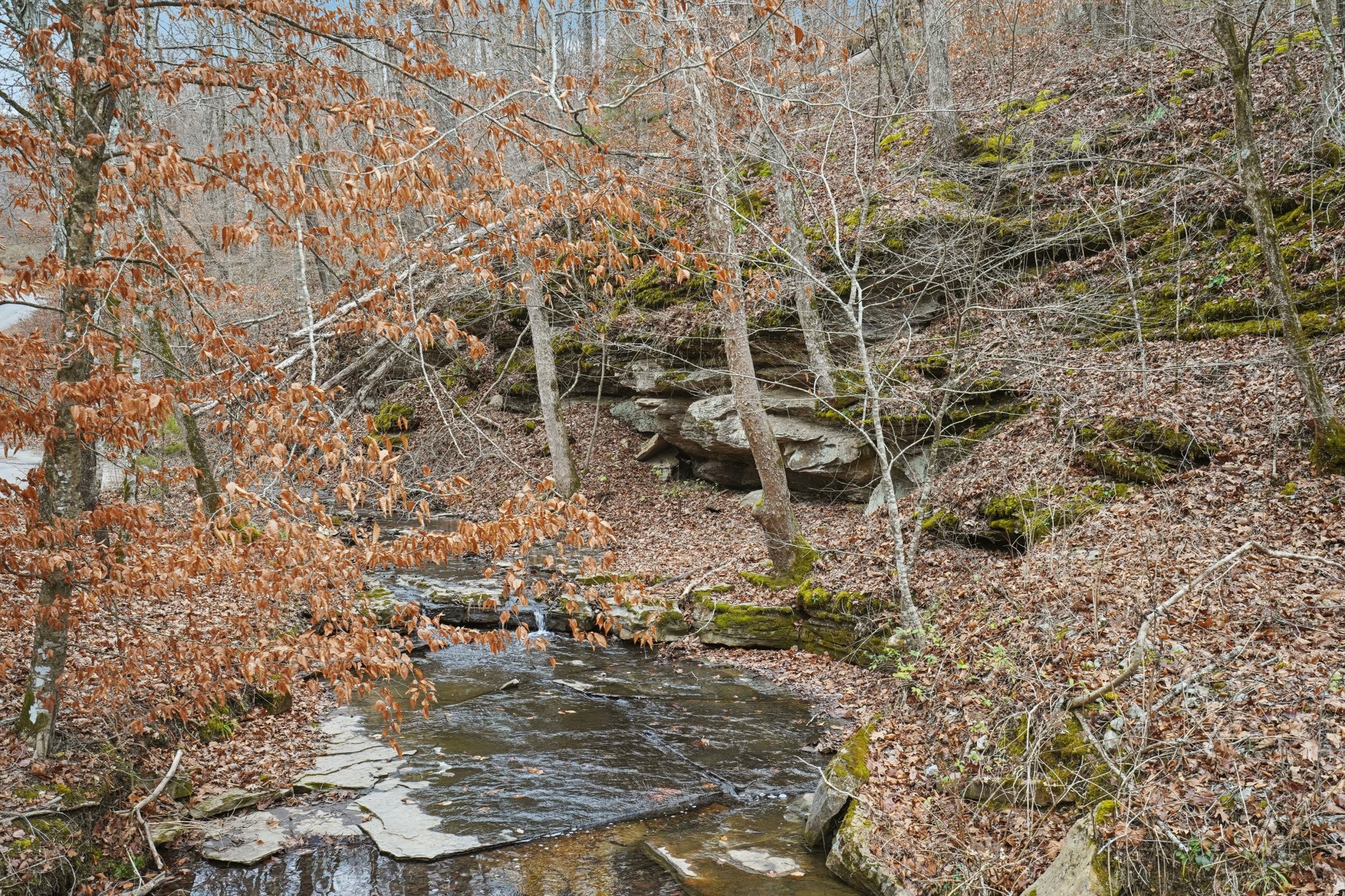 3668 Old Sams Creek Rd