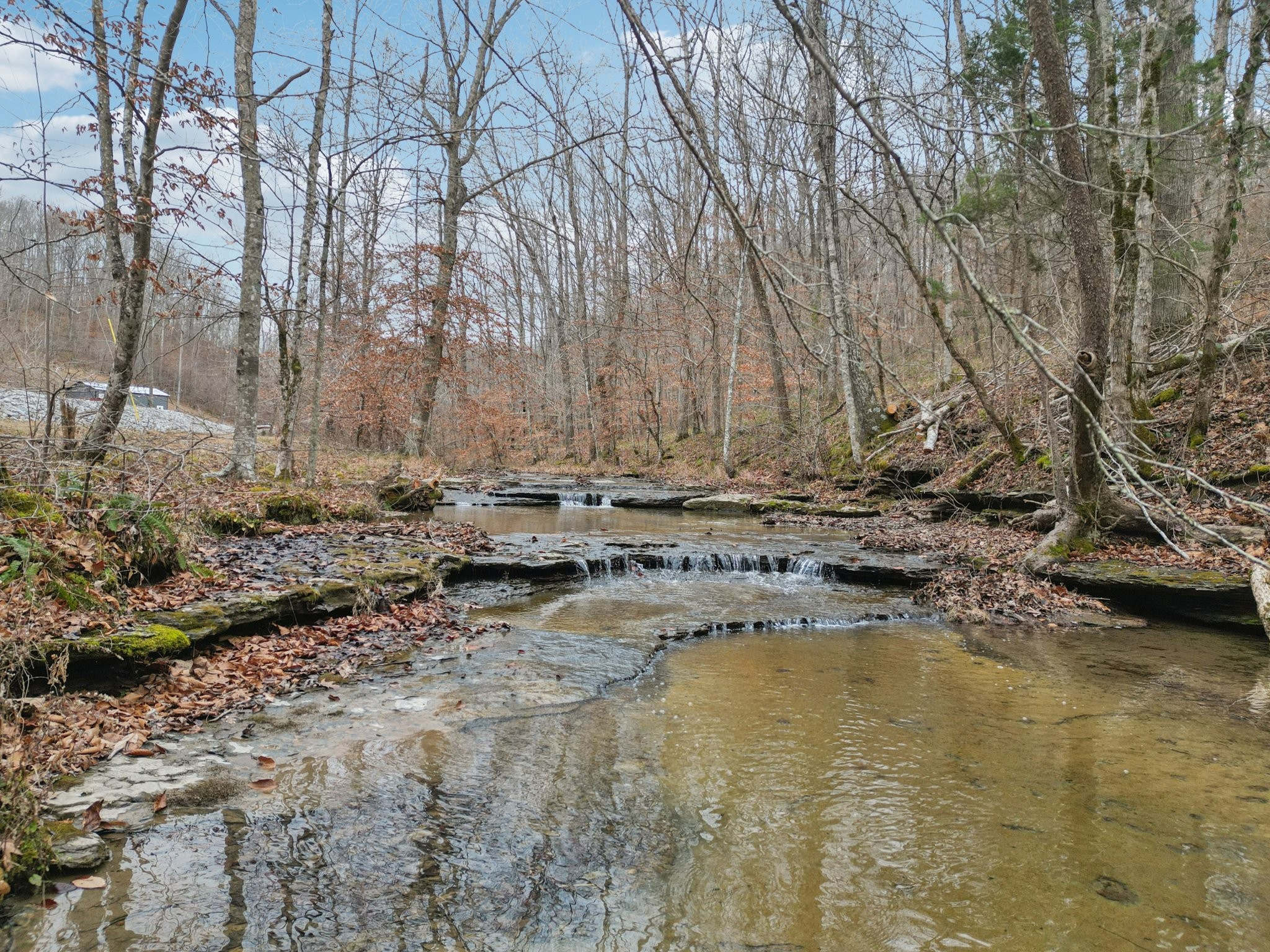 3668 Old Sams Creek Rd