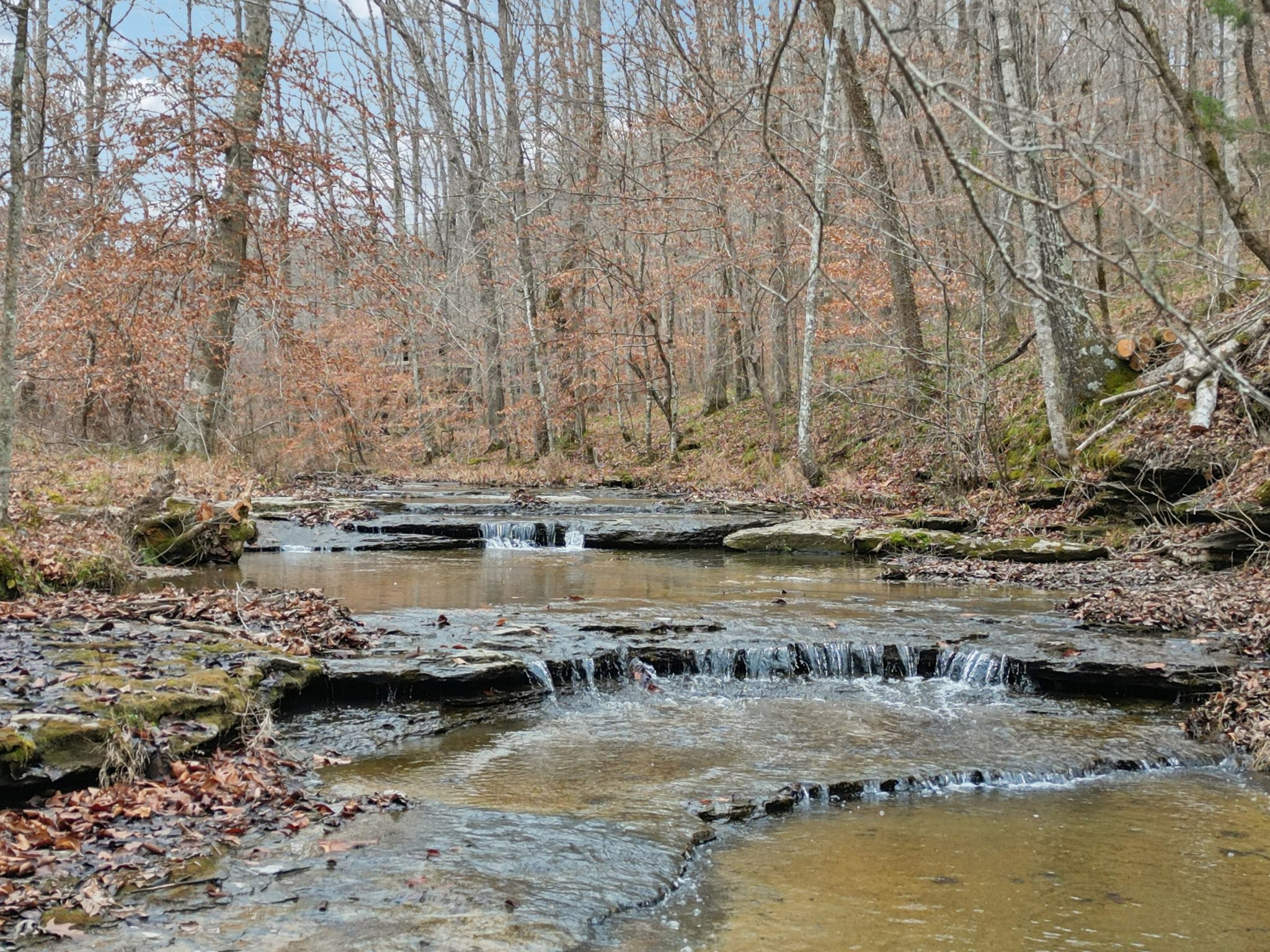 3668 Old Sams Creek Rd