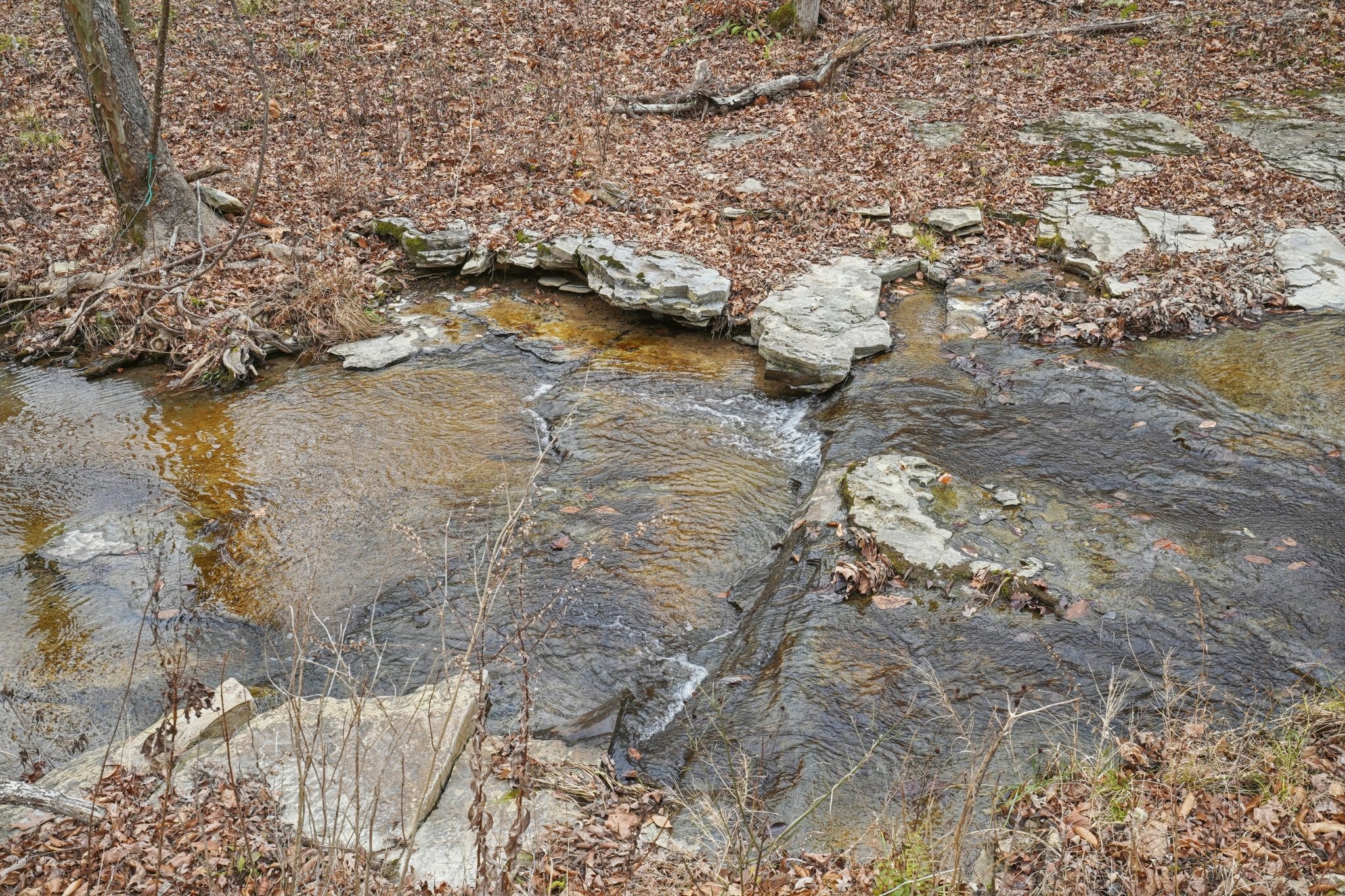 3668 Old Sams Creek Rd