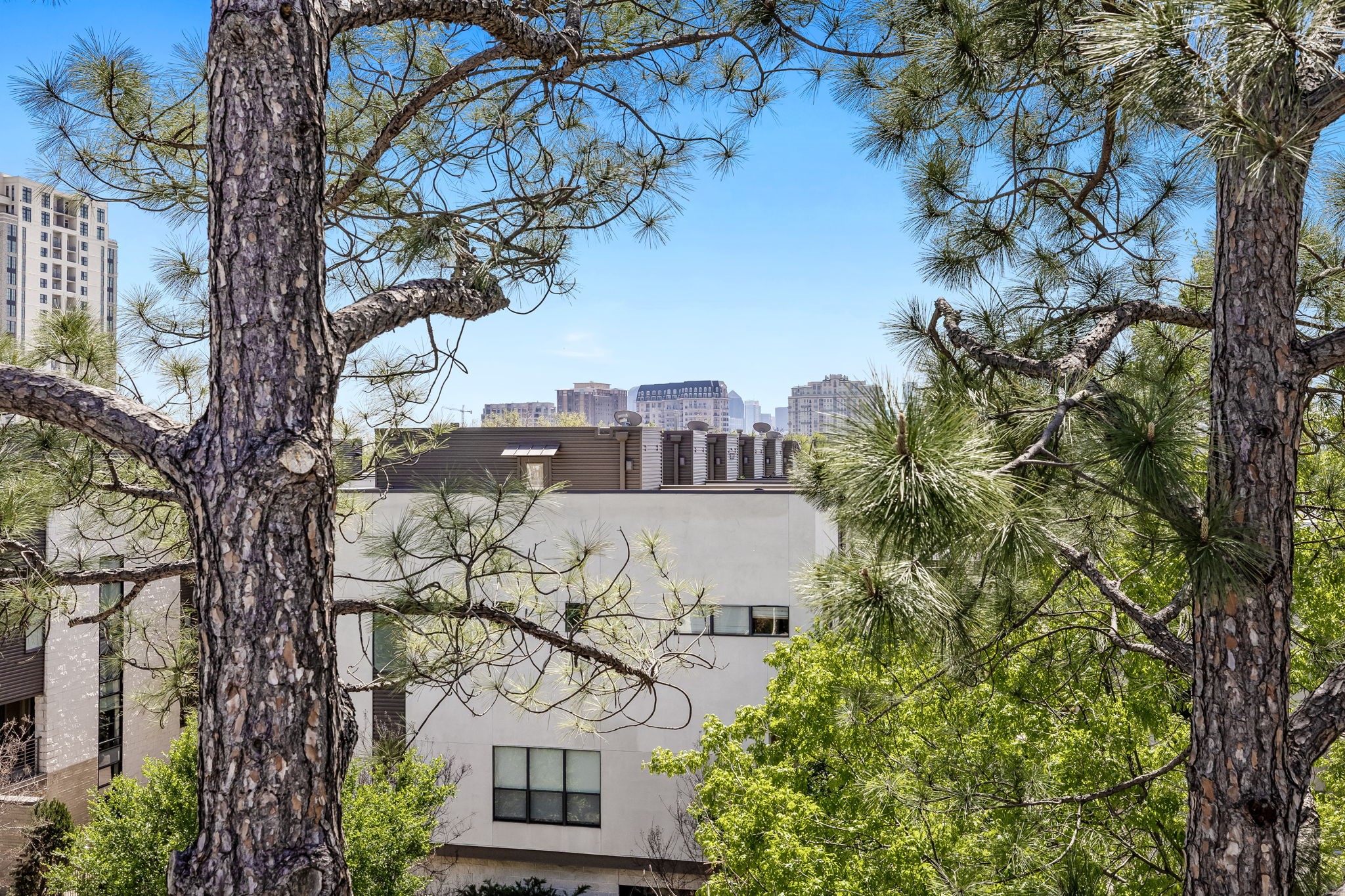 4111 Newton Avenue 31